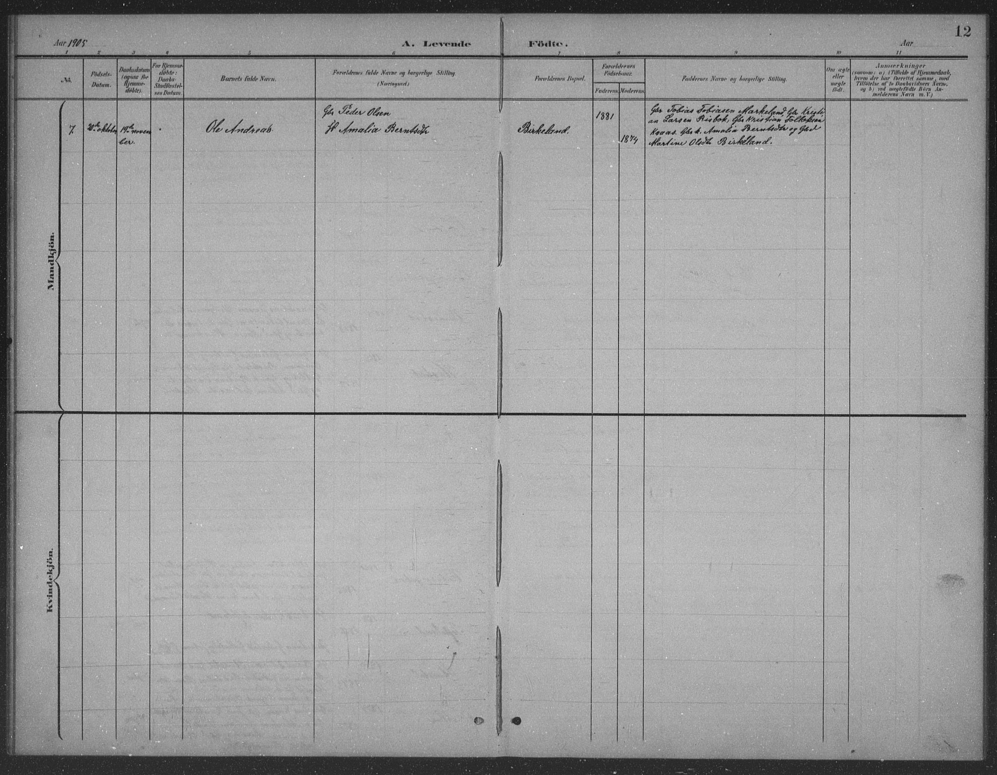 Lyngdal sokneprestkontor, AV/SAK-1111-0029/F/Fb/Fbb/L0002: Parish register (copy) no. B 2, 1901-1934, p. 12