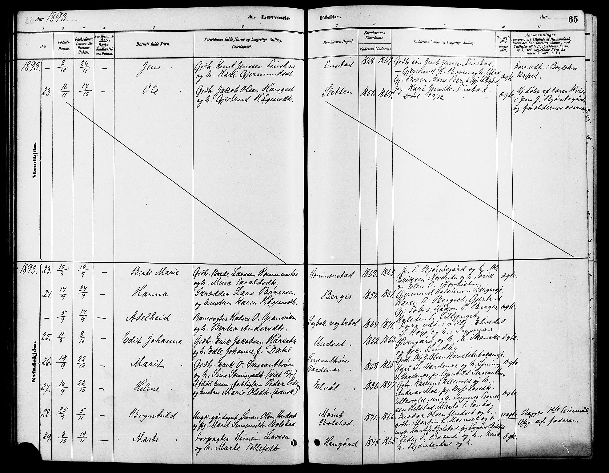 Rendalen prestekontor, SAH/PREST-054/H/Ha/Hab/L0003: Parish register (copy) no. 3, 1879-1904, p. 65