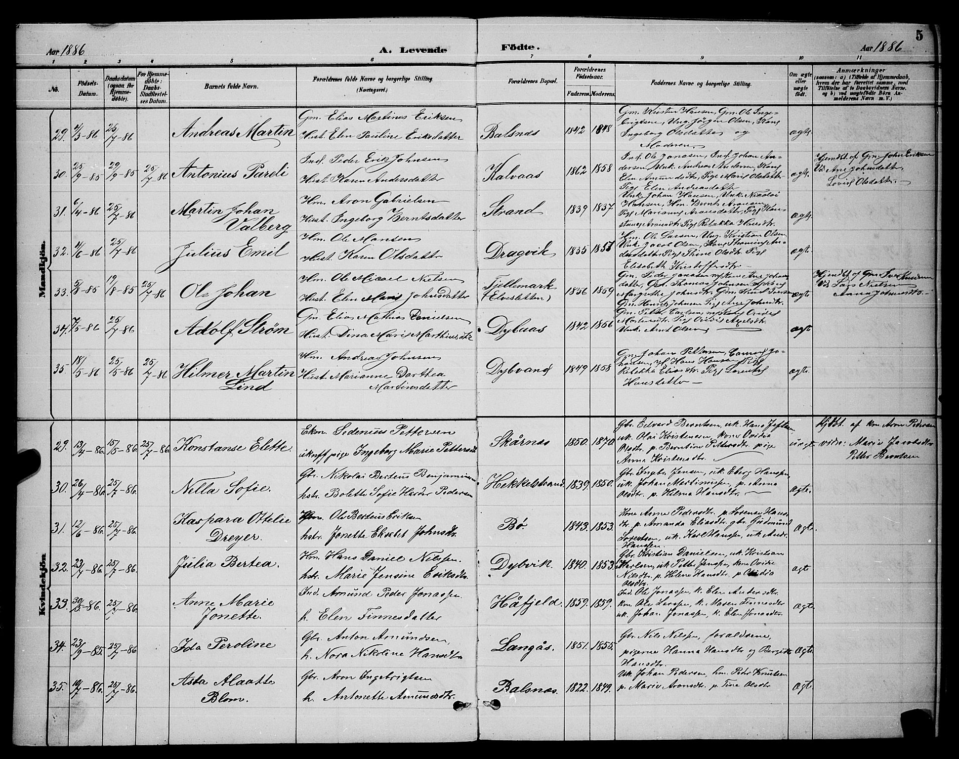 Ministerialprotokoller, klokkerbøker og fødselsregistre - Nordland, AV/SAT-A-1459/863/L0914: Parish register (copy) no. 863C04, 1886-1897, p. 5