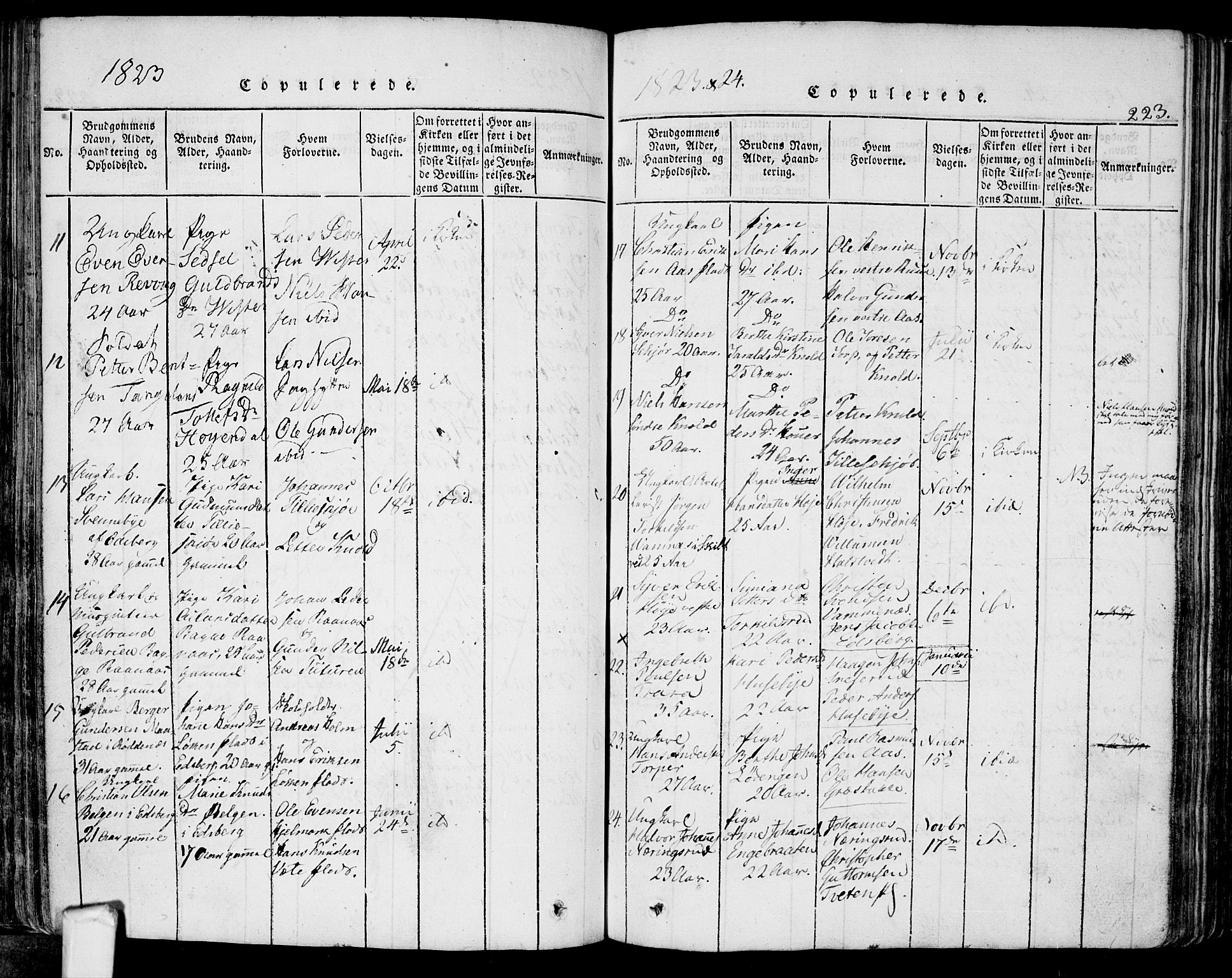 Eidsberg prestekontor Kirkebøker, SAO/A-10905/F/Fa/L0007: Parish register (official) no. I 7, 1814-1832, p. 223