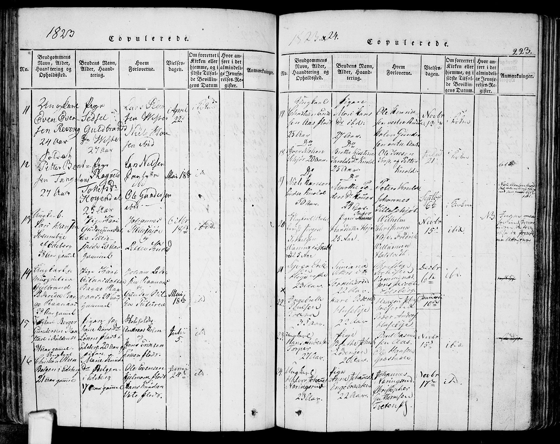 Eidsberg prestekontor Kirkebøker, AV/SAO-A-10905/F/Fa/L0007: Parish register (official) no. I 7, 1814-1832, p. 223