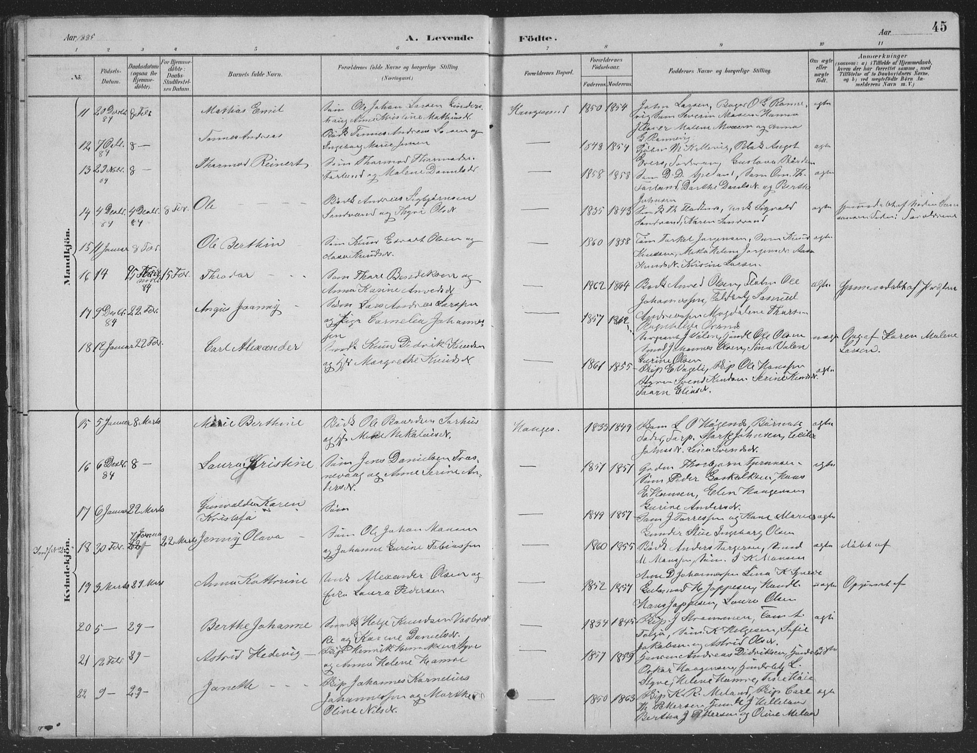 Haugesund sokneprestkontor, AV/SAST-A -101863/H/Ha/Hab/L0002: Parish register (copy) no. B 2, 1881-1894, p. 45