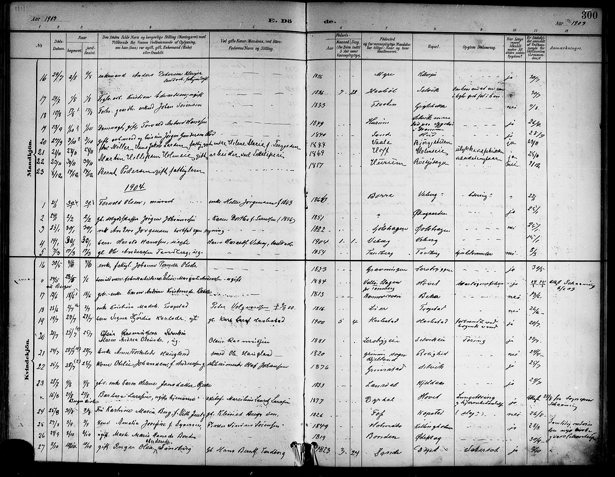 Sande Kirkebøker, AV/SAKO-A-53/G/Ga/L0004: Parish register (copy) no. 4, 1895-1918, p. 300