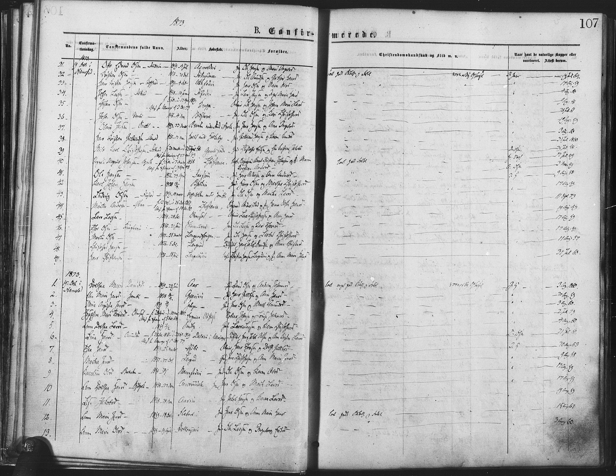 Nannestad prestekontor Kirkebøker, SAO/A-10414a/F/Fa/L0013: Parish register (official) no. I 13, 1873-1880, p. 107