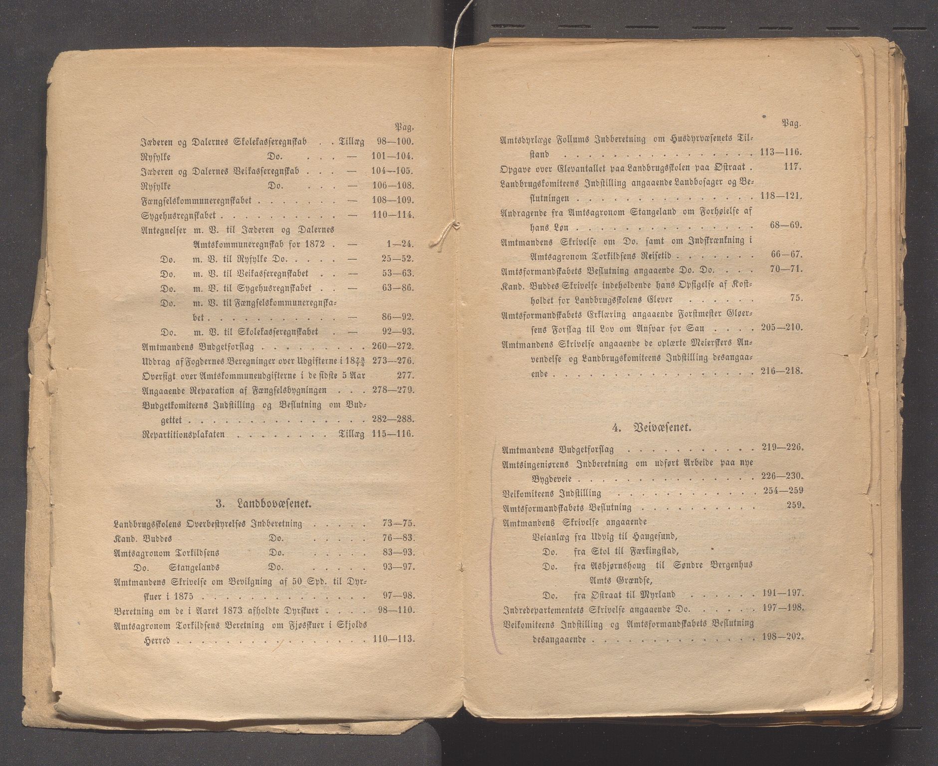 Rogaland fylkeskommune - Fylkesrådmannen , IKAR/A-900/A, 1874-1875, p. 5