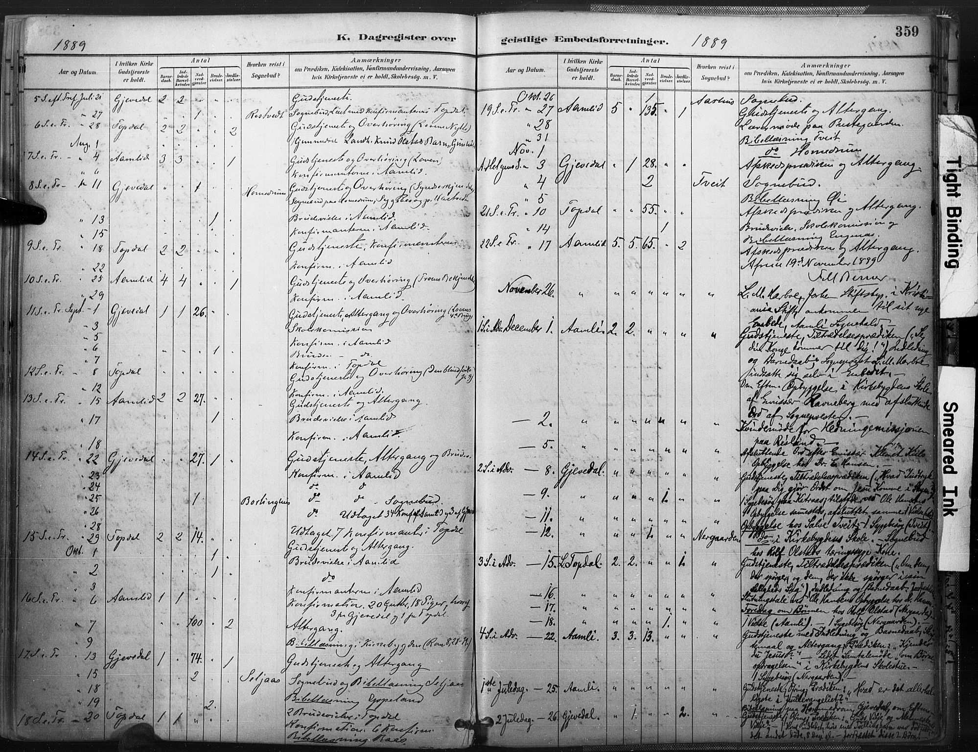 Åmli sokneprestkontor, SAK/1111-0050/F/Fa/Fac/L0010: Parish register (official) no. A 10 /1, 1885-1899, p. 359