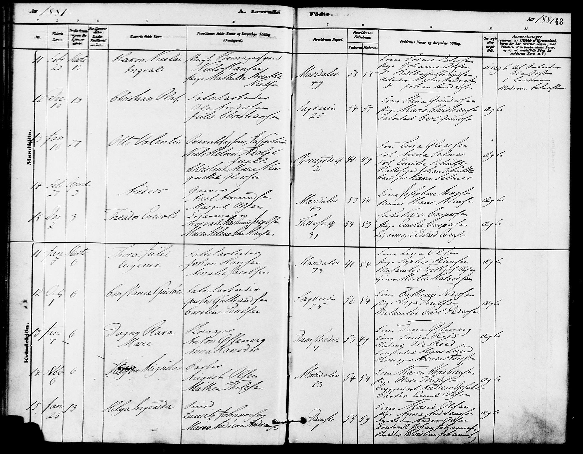 Gamle Aker prestekontor Kirkebøker, SAO/A-10617a/F/L0006: Parish register (official) no. 6, 1880-1887, p. 43