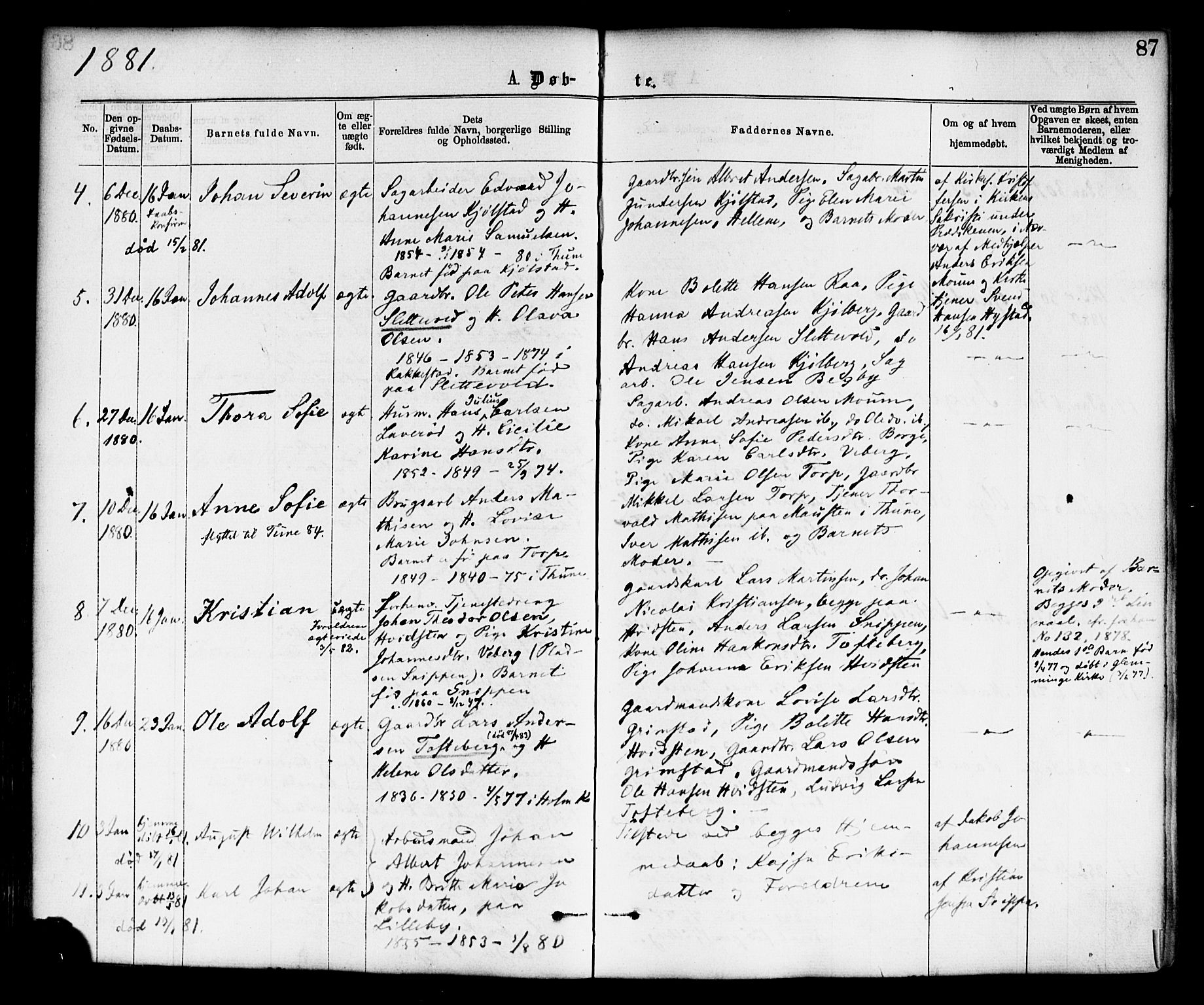 Borge prestekontor Kirkebøker, SAO/A-10903/F/Fa/L0007: Parish register (official) no. I 7, 1875-1886, p. 87