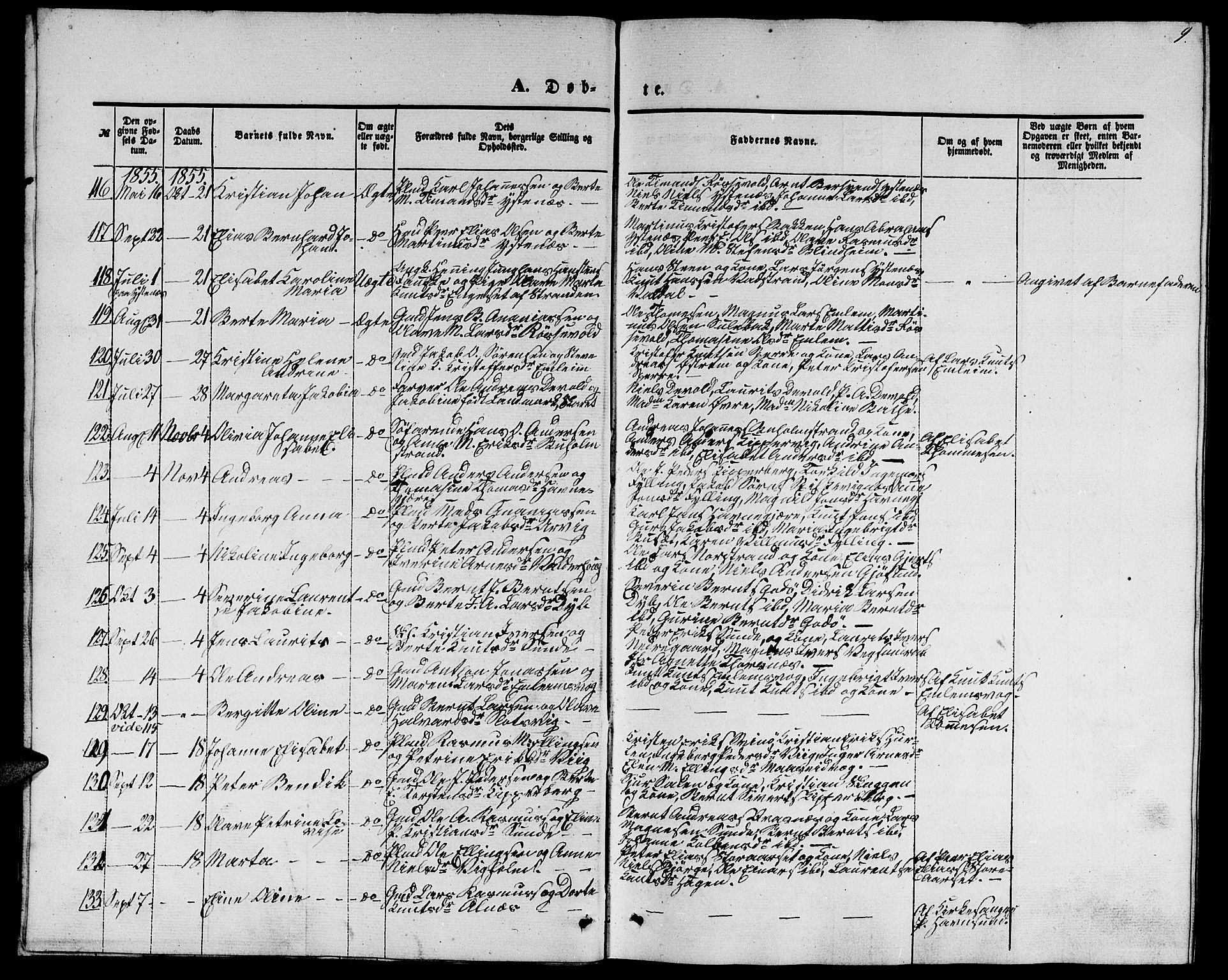 Ministerialprotokoller, klokkerbøker og fødselsregistre - Møre og Romsdal, AV/SAT-A-1454/528/L0427: Parish register (copy) no. 528C08, 1855-1864, p. 9