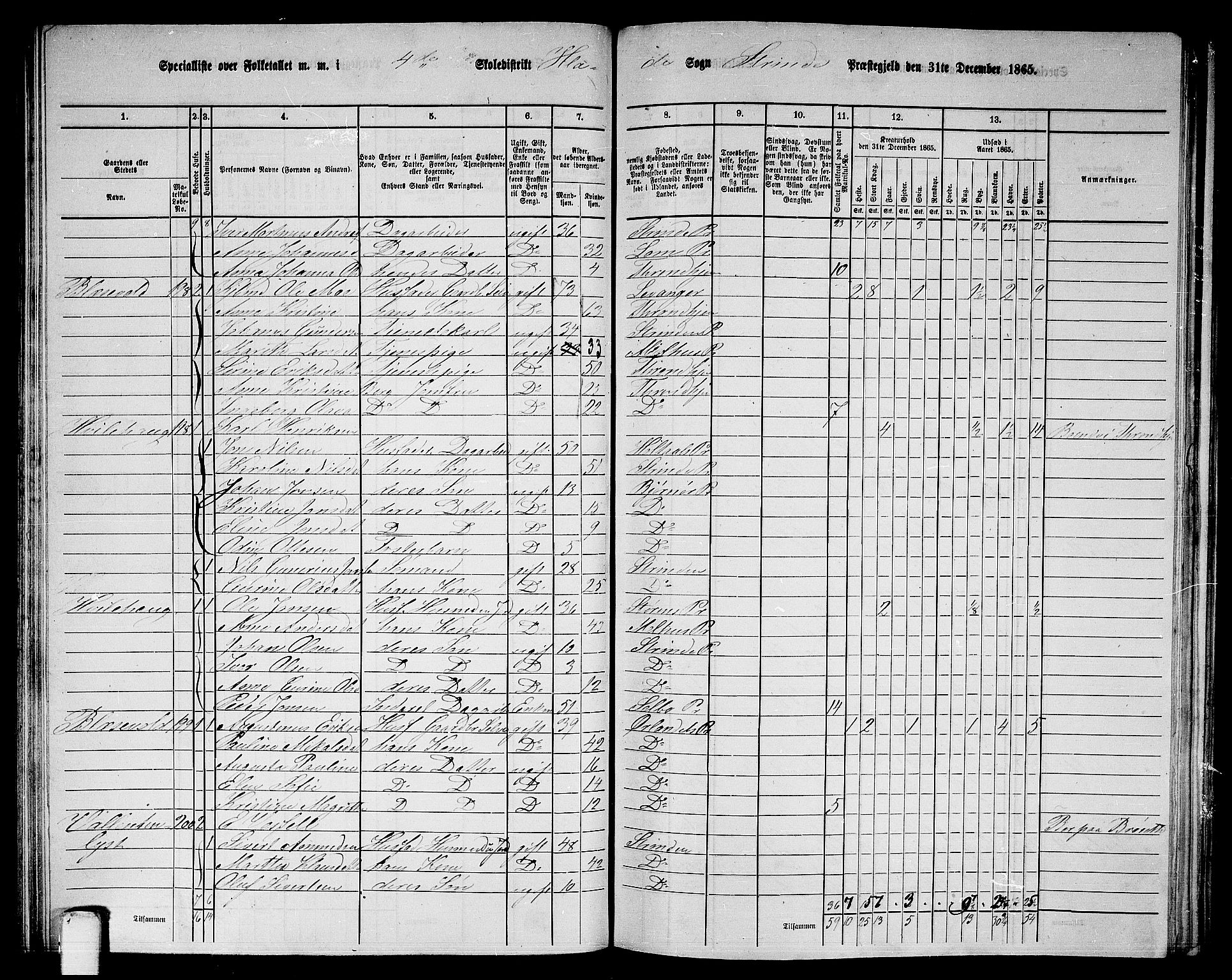 RA, 1865 census for Strinda, 1865, p. 104