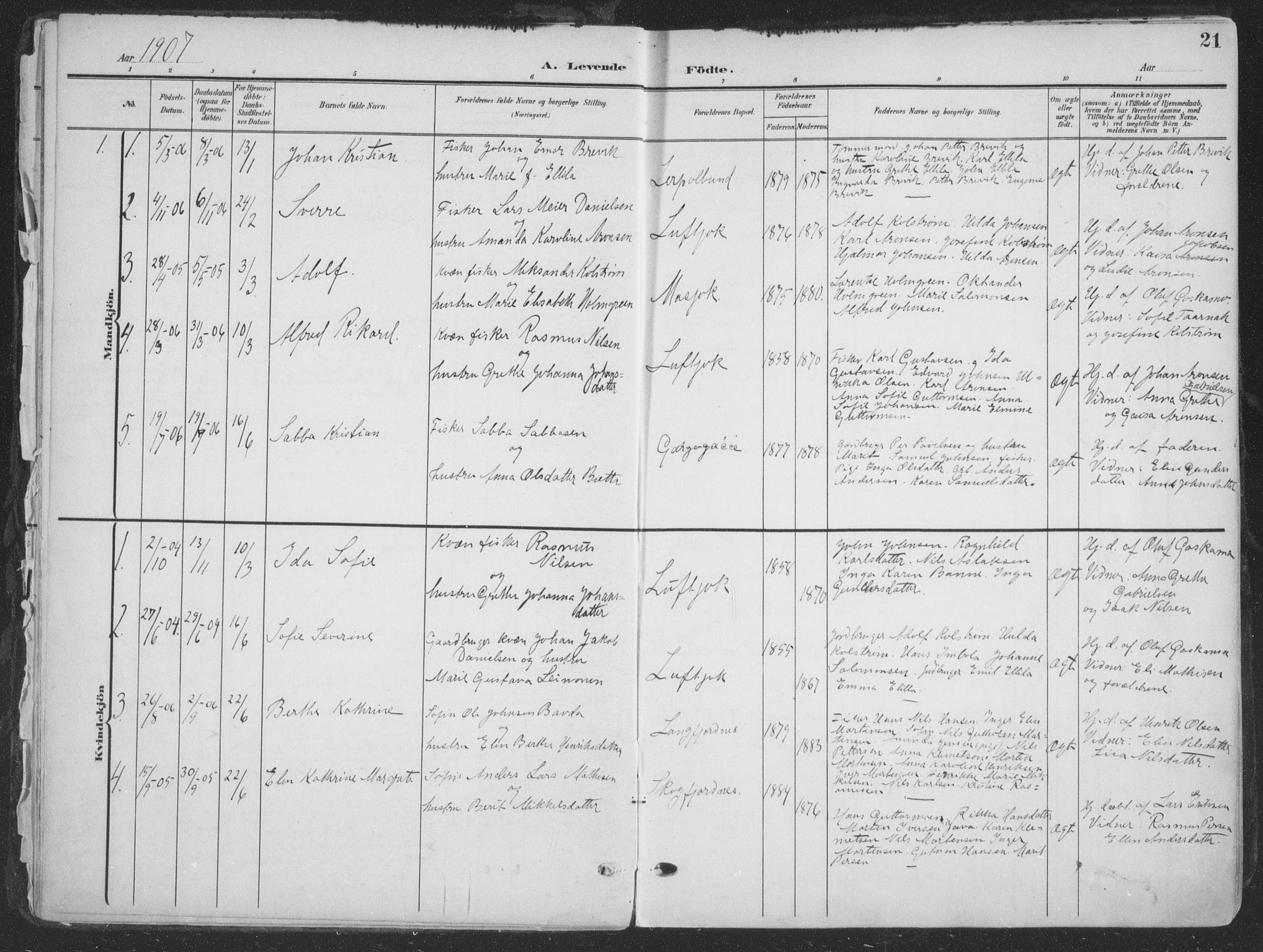Tana sokneprestkontor, SATØ/S-1334/H/Ha/L0007kirke: Parish register (official) no. 7, 1904-1918, p. 21