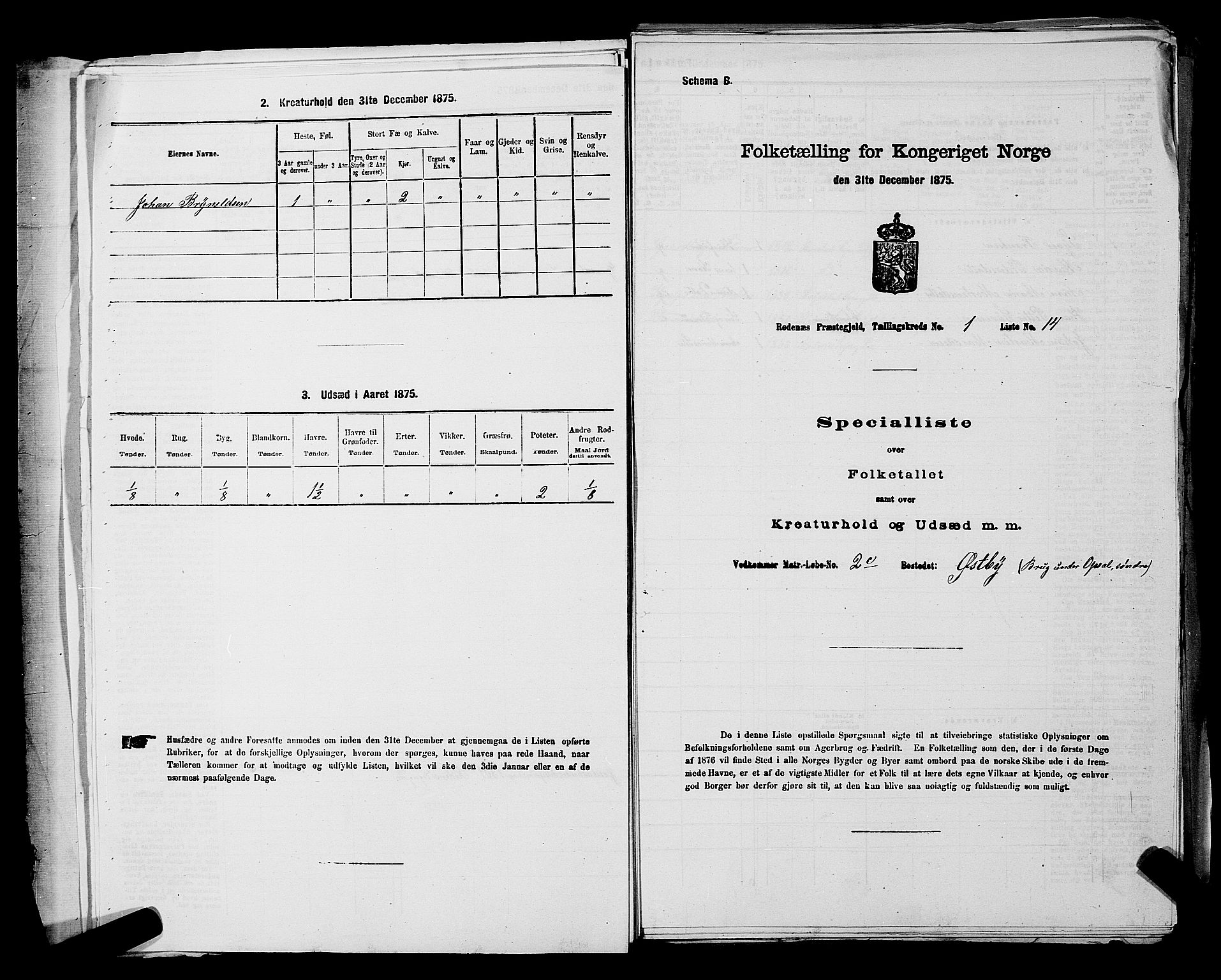 RA, 1875 census for 0120P Rødenes, 1875, p. 41