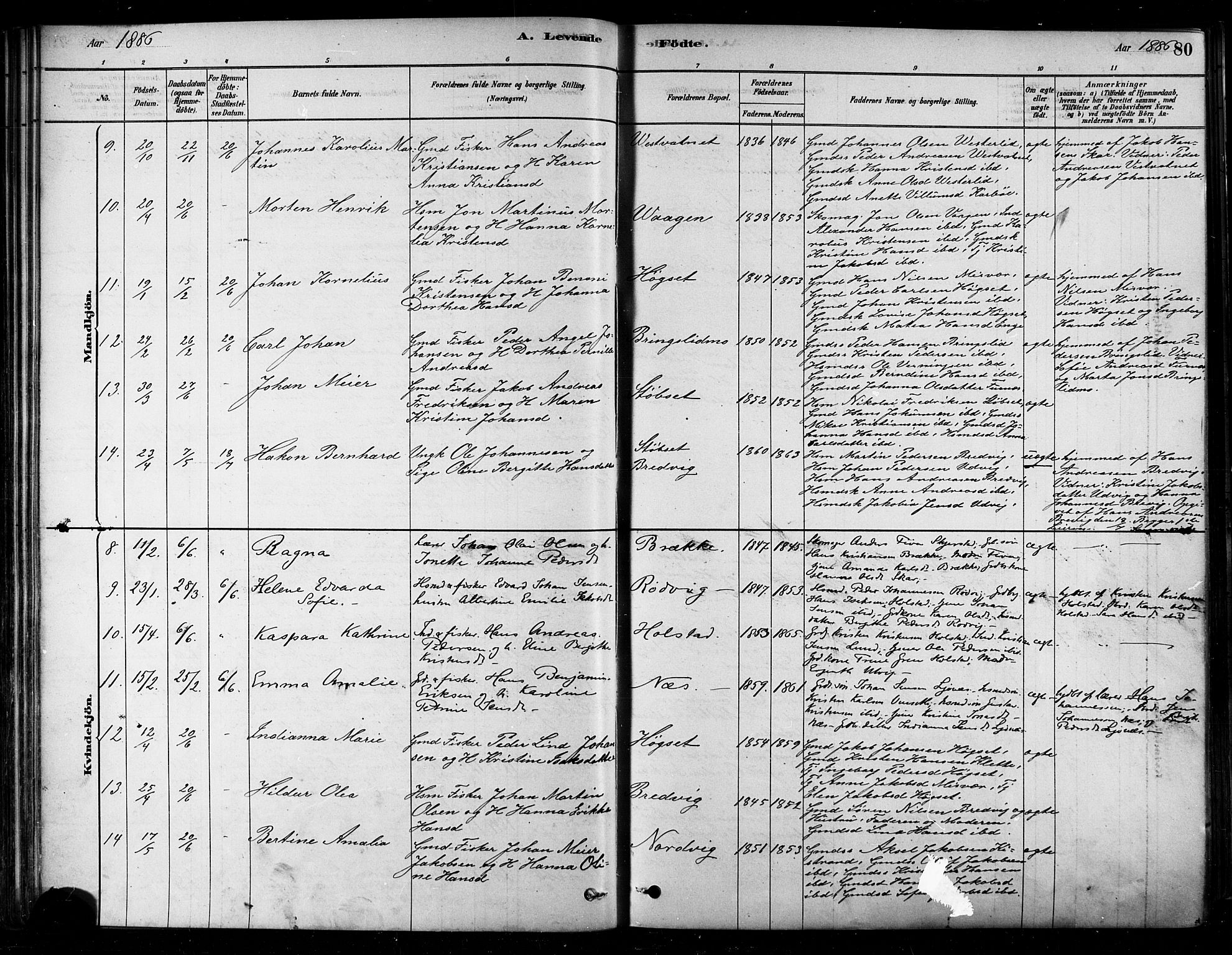 Ministerialprotokoller, klokkerbøker og fødselsregistre - Nordland, SAT/A-1459/852/L0740: Parish register (official) no. 852A10, 1878-1894, p. 80