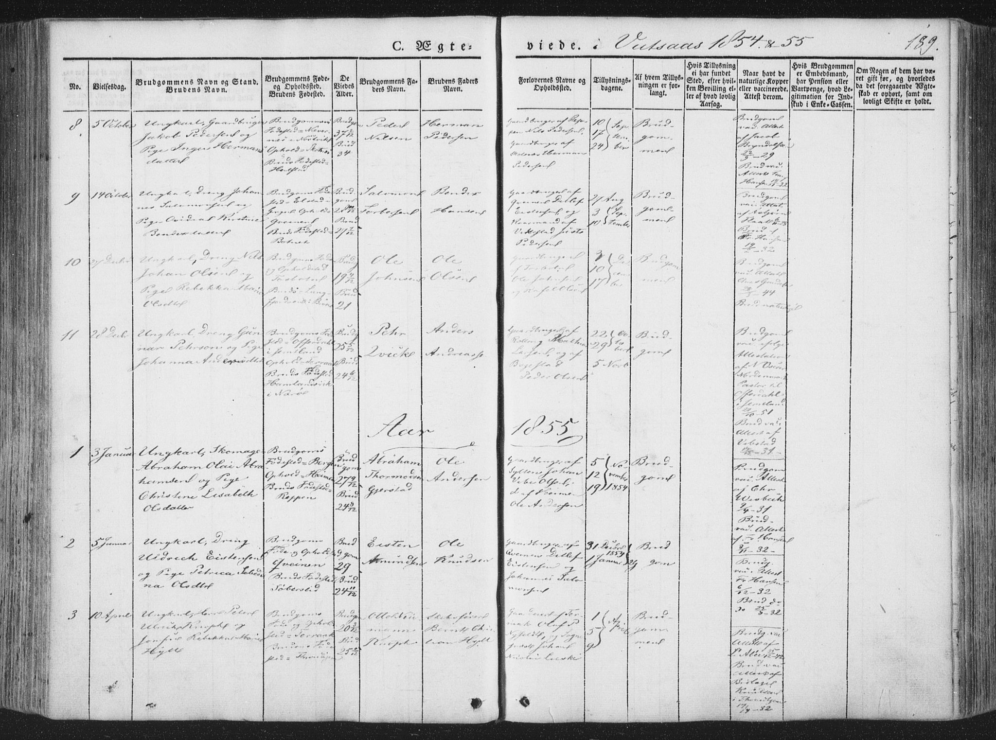 Ministerialprotokoller, klokkerbøker og fødselsregistre - Nordland, AV/SAT-A-1459/810/L0144: Parish register (official) no. 810A07 /1, 1841-1862, p. 189