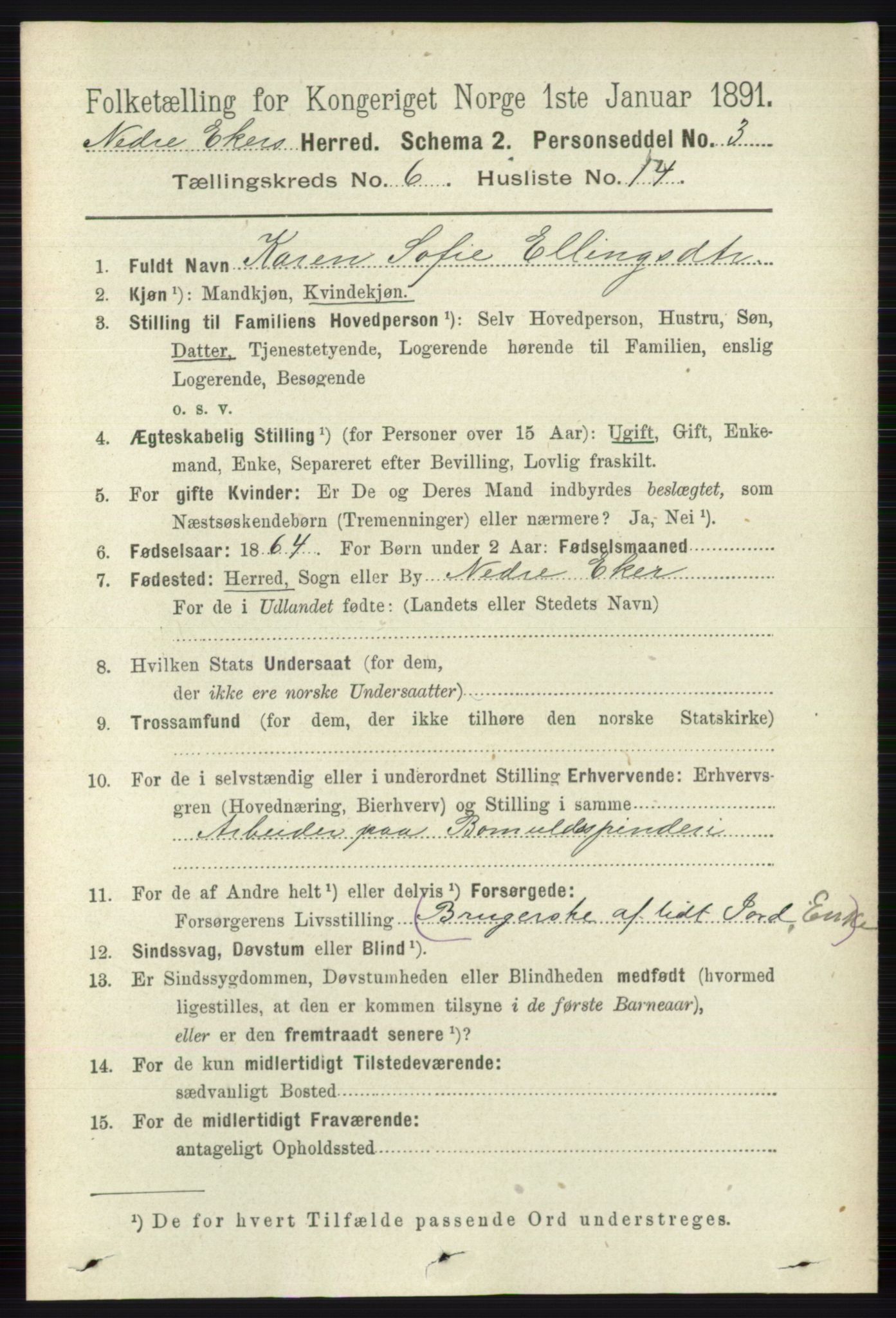 RA, 1891 census for 0625 Nedre Eiker, 1891, p. 2974