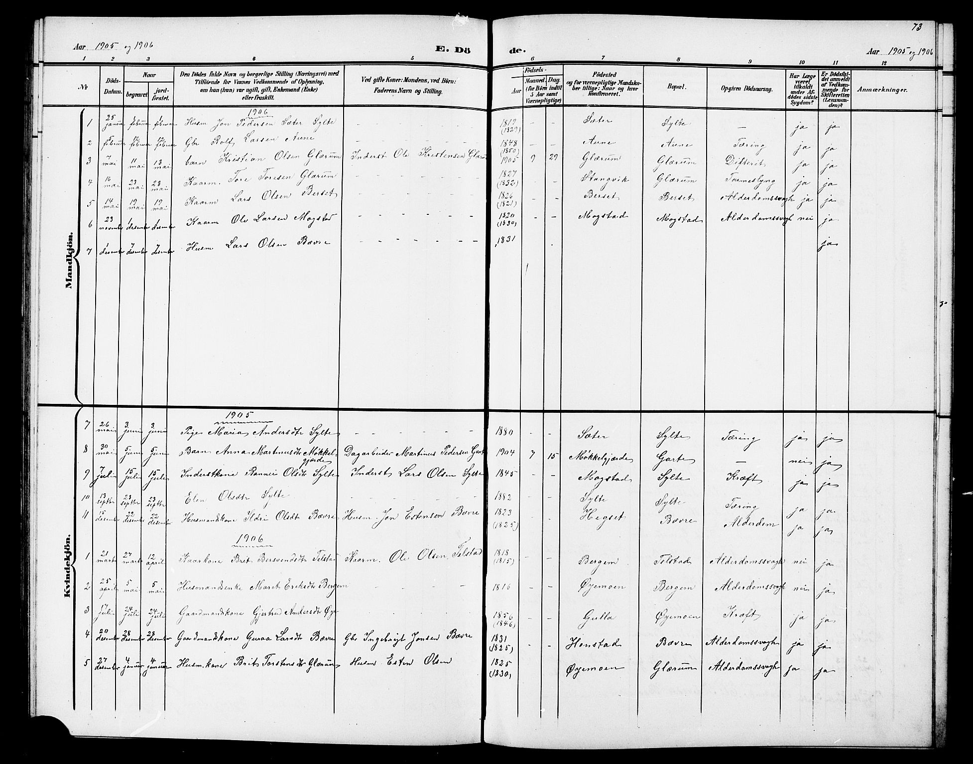 Ministerialprotokoller, klokkerbøker og fødselsregistre - Møre og Romsdal, AV/SAT-A-1454/595/L1053: Parish register (copy) no. 595C05, 1901-1919, p. 73