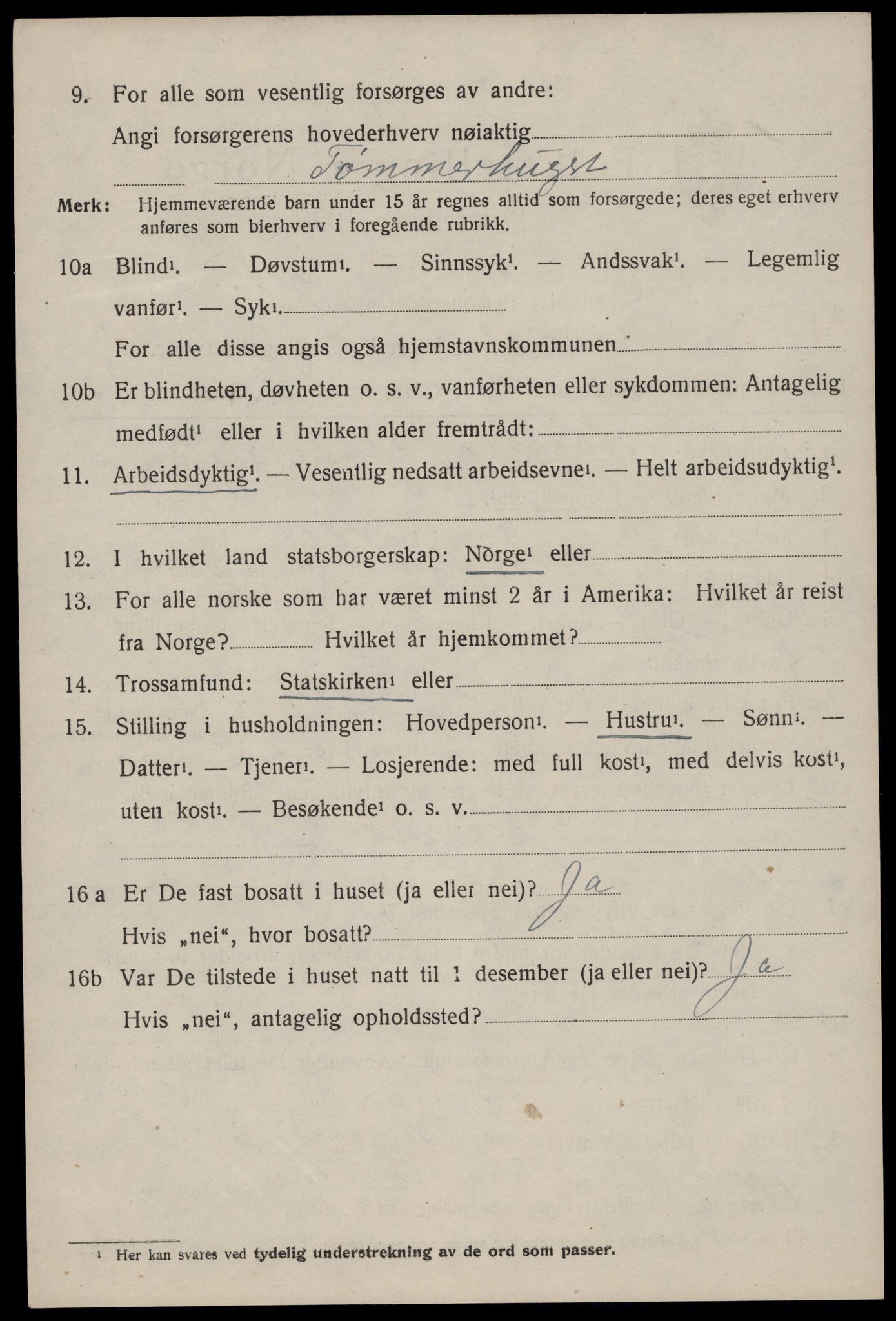 SAKO, 1920 census for Nissedal, 1920, p. 1254
