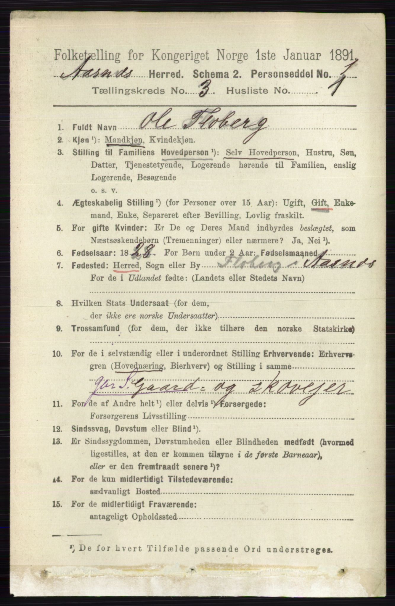 RA, 1891 census for 0425 Åsnes, 1891, p. 1027