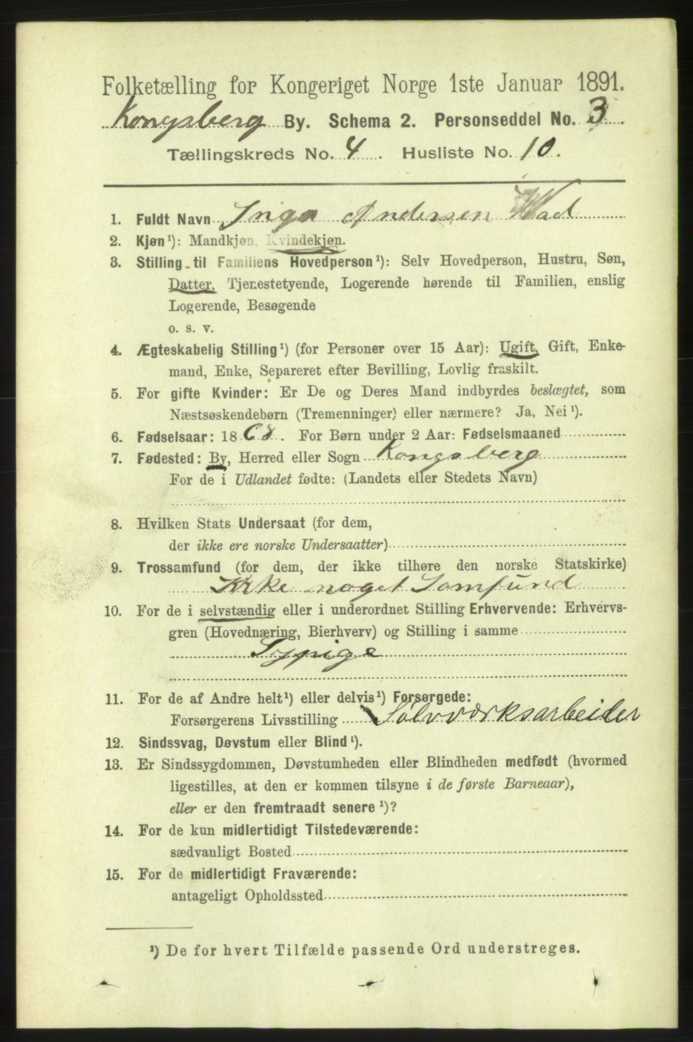 RA, 1891 census for 0604 Kongsberg, 1891, p. 3580