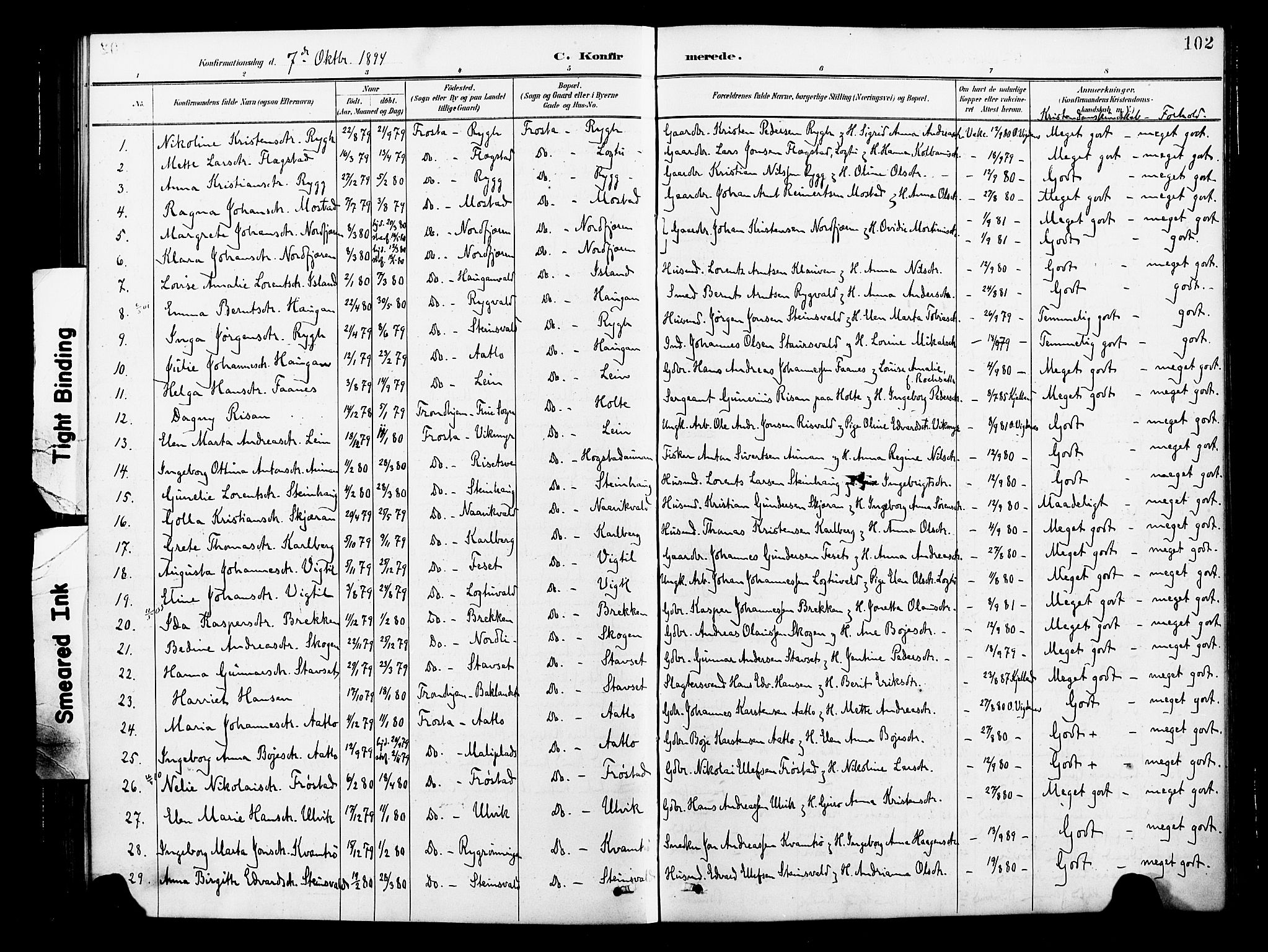 Ministerialprotokoller, klokkerbøker og fødselsregistre - Nord-Trøndelag, AV/SAT-A-1458/713/L0121: Parish register (official) no. 713A10, 1888-1898, p. 102