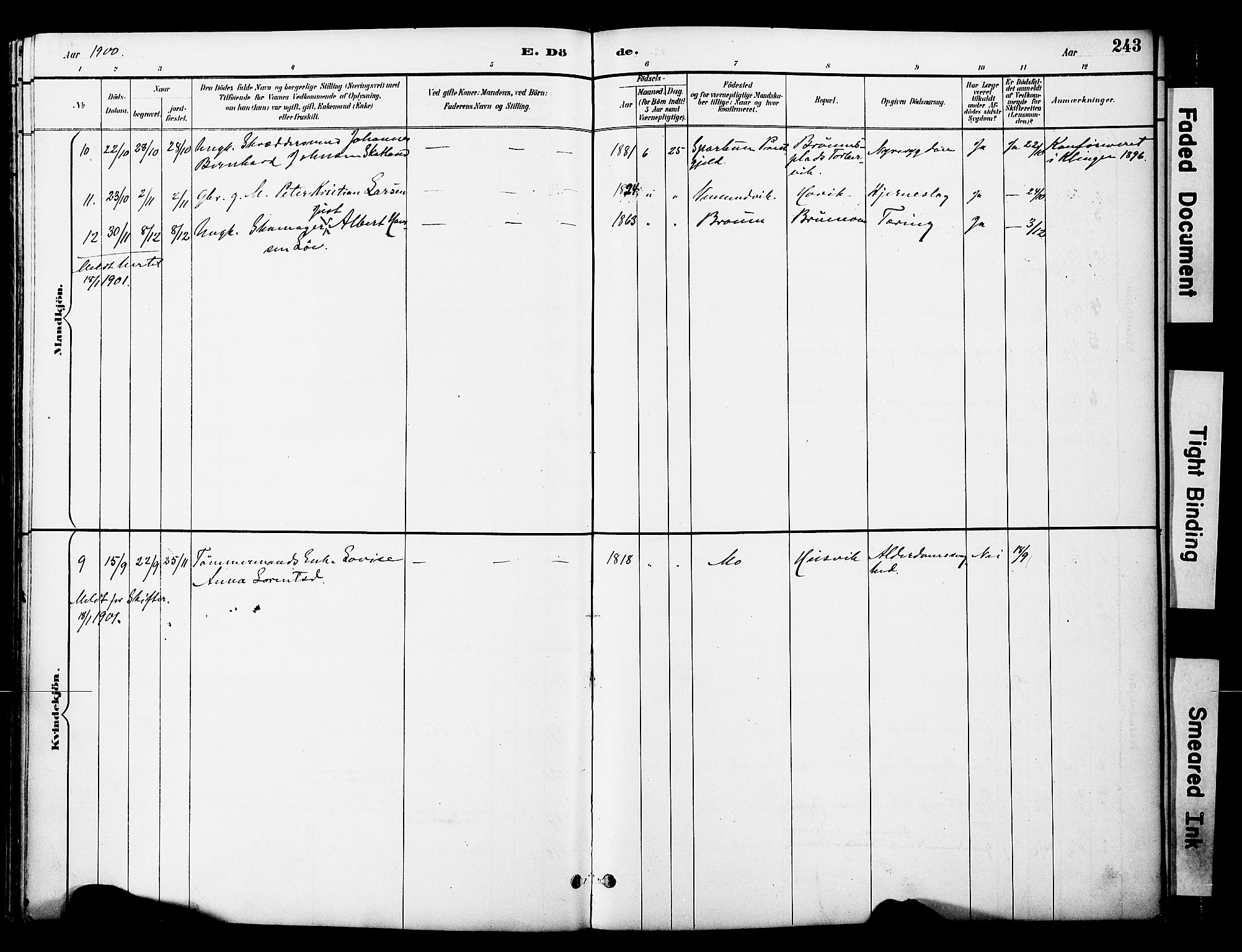 Ministerialprotokoller, klokkerbøker og fødselsregistre - Nord-Trøndelag, SAT/A-1458/774/L0628: Parish register (official) no. 774A02, 1887-1903, p. 243