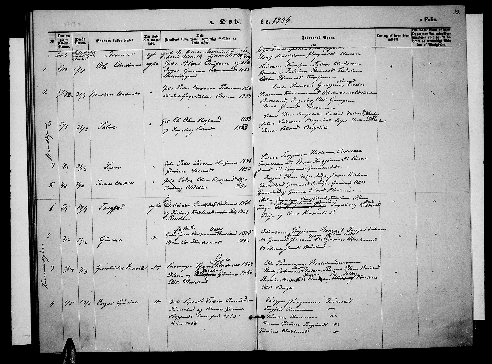 Søgne sokneprestkontor, SAK/1111-0037/F/Fb/Fba/L0003: Parish register (copy) no. B 3, 1874-1887, p. 43