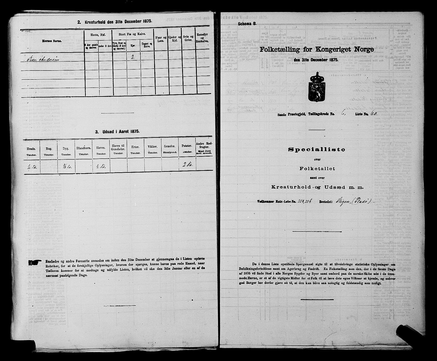 SAKO, 1875 census for 0822P Sauherad, 1875, p. 807