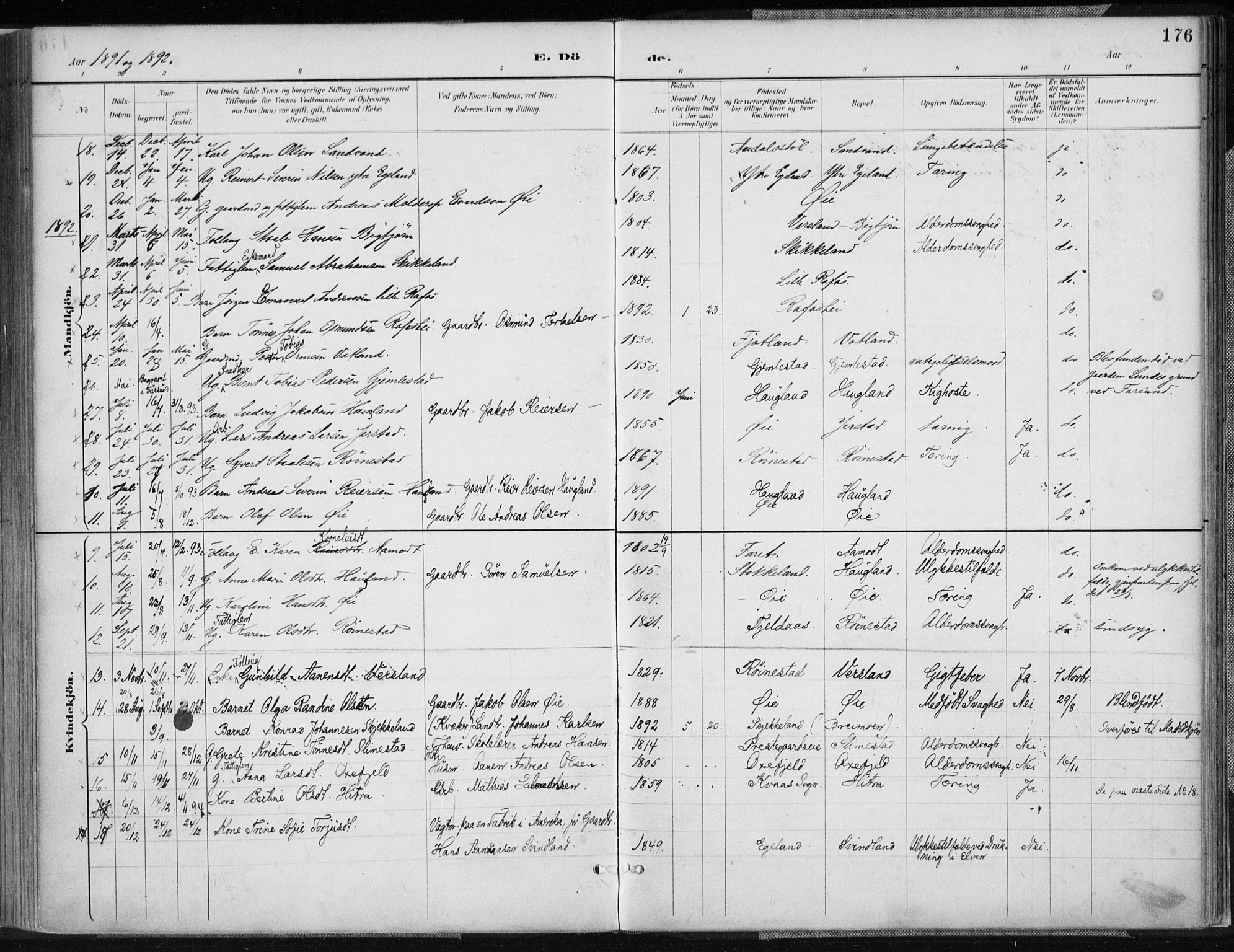 Kvinesdal sokneprestkontor, AV/SAK-1111-0026/F/Fa/Fab/L0008: Parish register (official) no. A 8, 1886-1897, p. 176