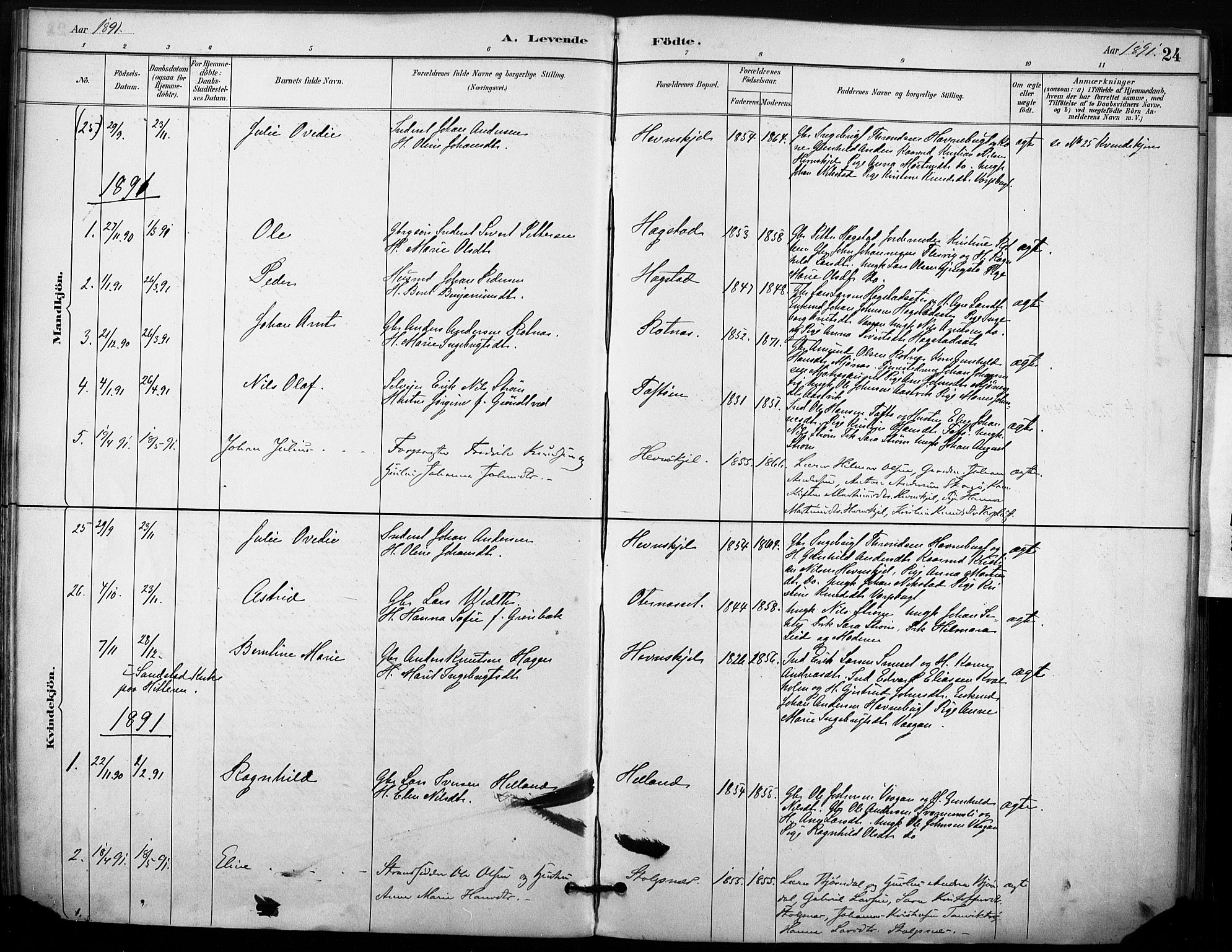 Ministerialprotokoller, klokkerbøker og fødselsregistre - Sør-Trøndelag, SAT/A-1456/633/L0518: Parish register (official) no. 633A01, 1884-1906, p. 24