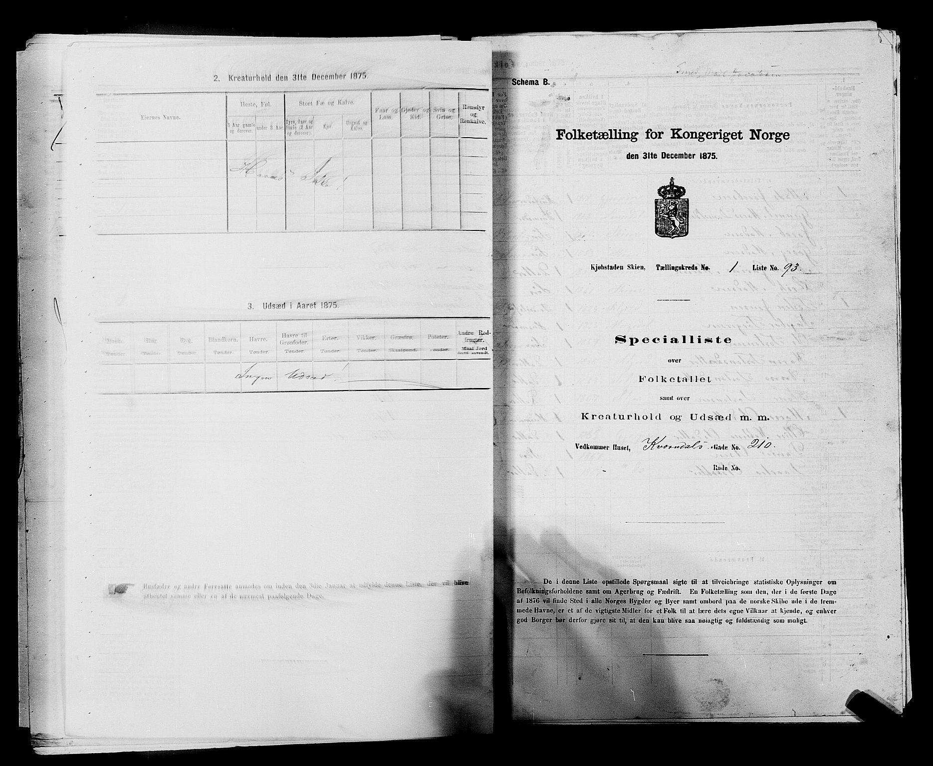 SAKO, 1875 census for 0806P Skien, 1875, p. 232