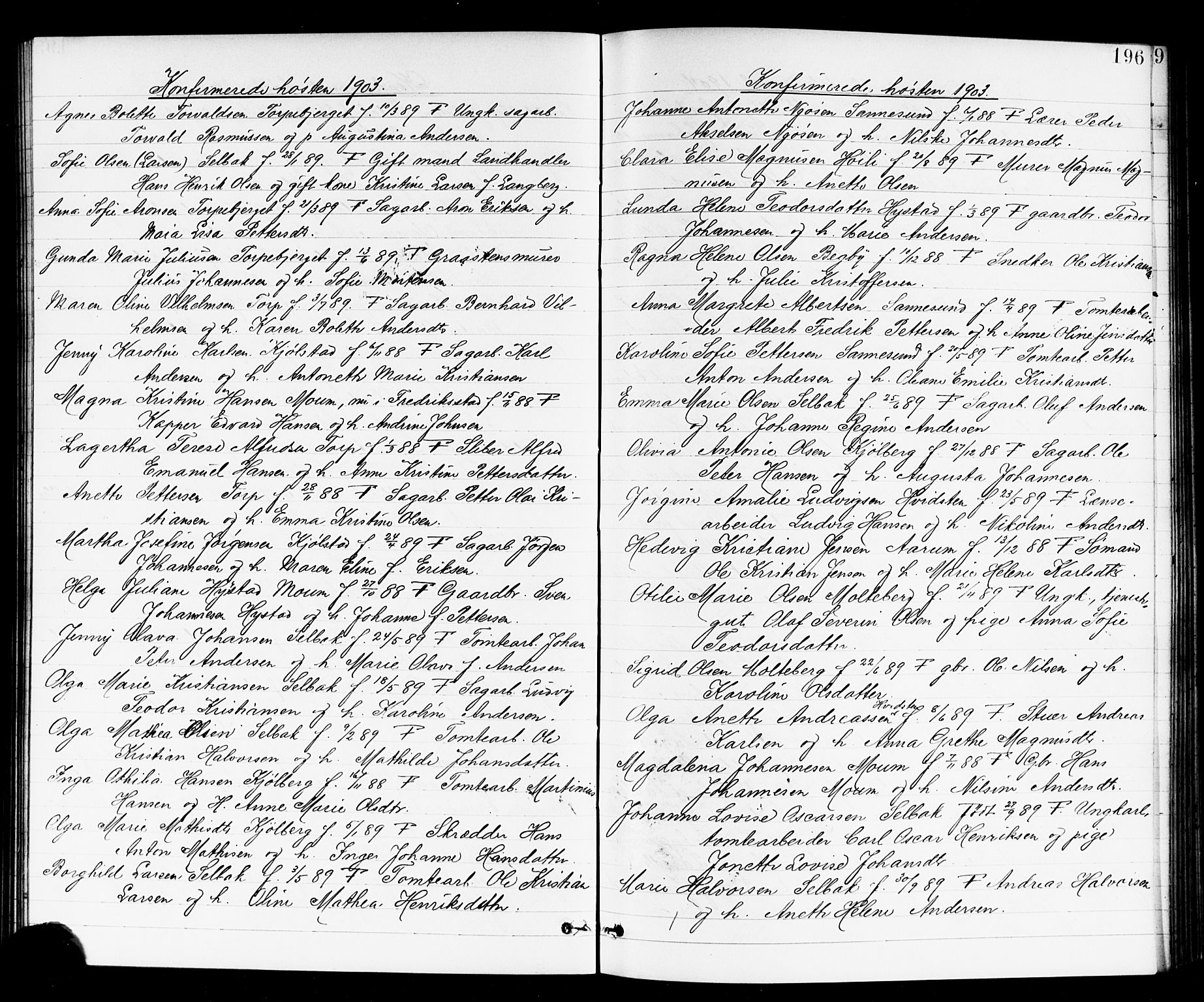 Borge prestekontor Kirkebøker, AV/SAO-A-10903/G/Ga/L0002: Parish register (copy) no. I 2, 1875-1923, p. 196