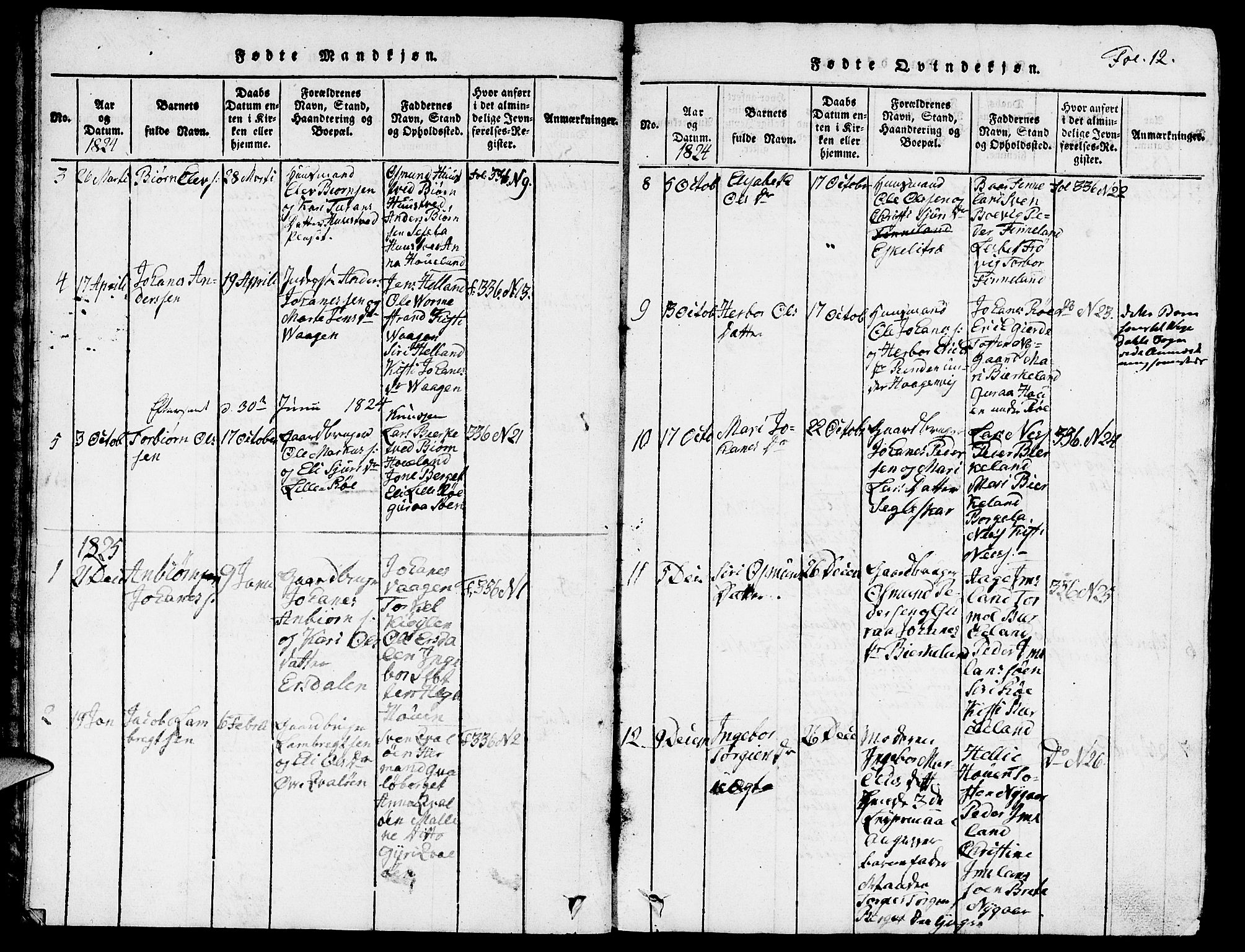 Vikedal sokneprestkontor, SAST/A-101840/01/V: Parish register (copy) no. B 3, 1816-1867, p. 12