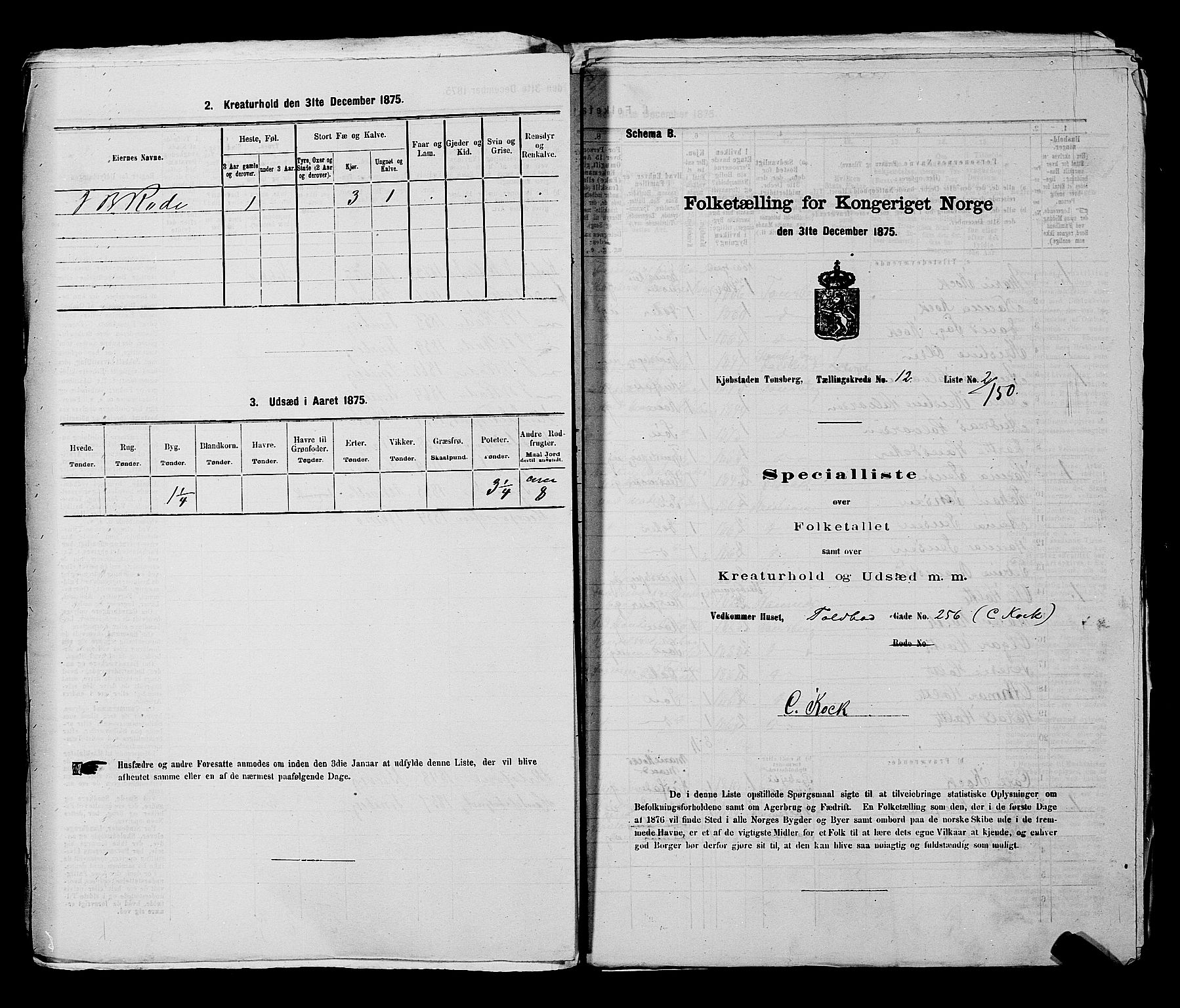 SAKO, 1875 census for 0705P Tønsberg, 1875, p. 373