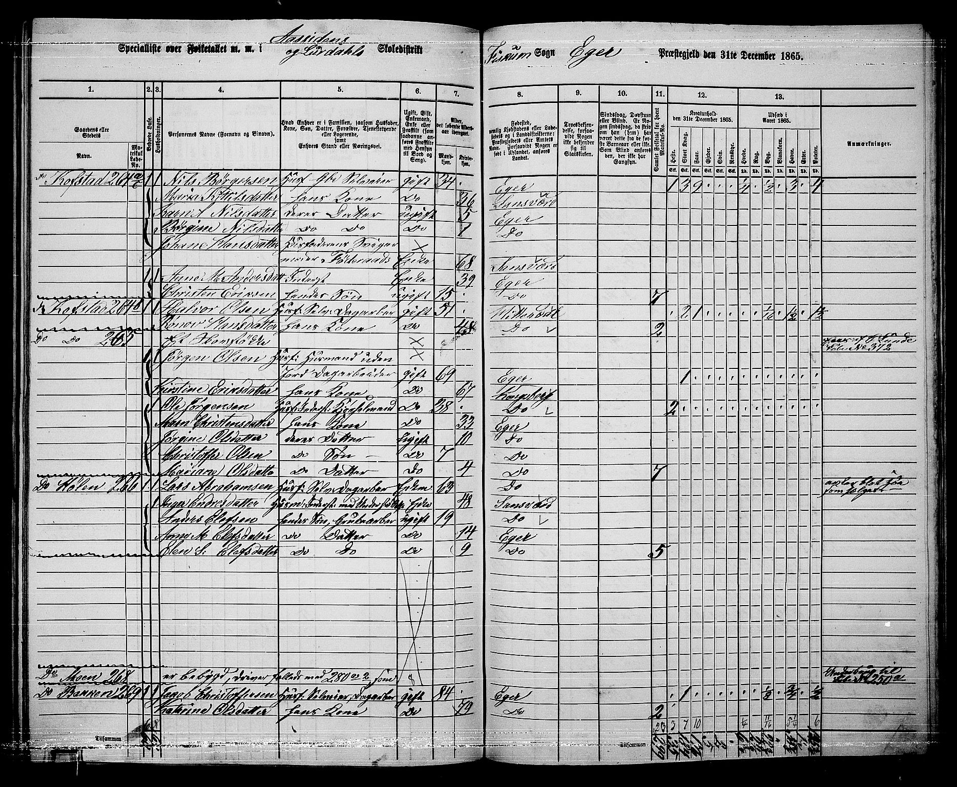 RA, 1865 census for Eiker, 1865, p. 506