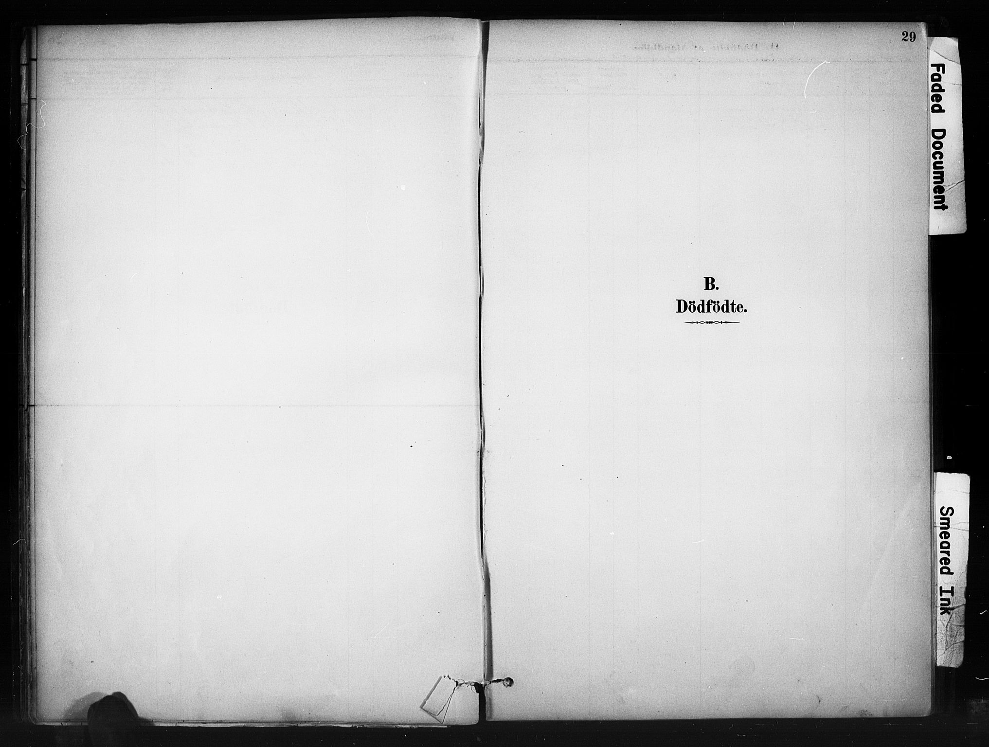 Nord-Aurdal prestekontor, SAH/PREST-132/H/Ha/Haa/L0010: Parish register (official) no. 10, 1883-1896, p. 29