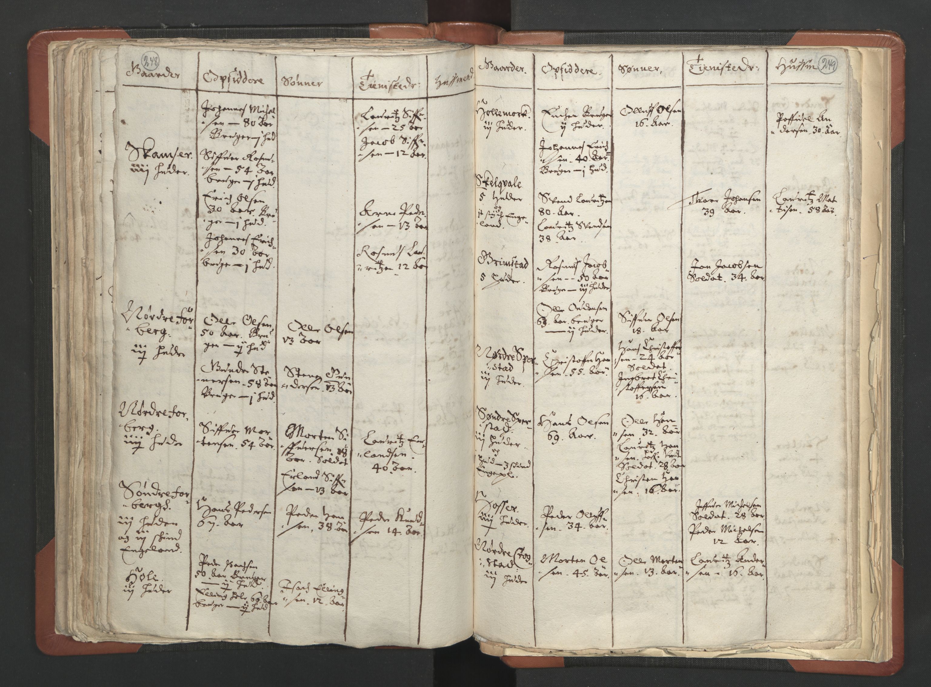 RA, Vicar's Census 1664-1666, no. 6: Gudbrandsdal deanery, 1664-1666, p. 248-249