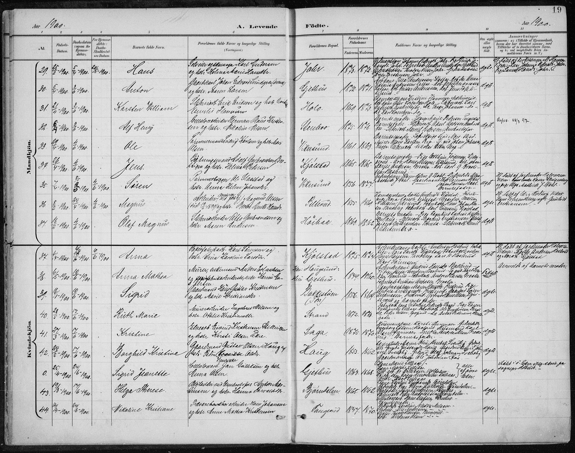 Modum kirkebøker, AV/SAKO-A-234/F/Fa/L0013: Parish register (official) no. 13, 1899-1907, p. 19