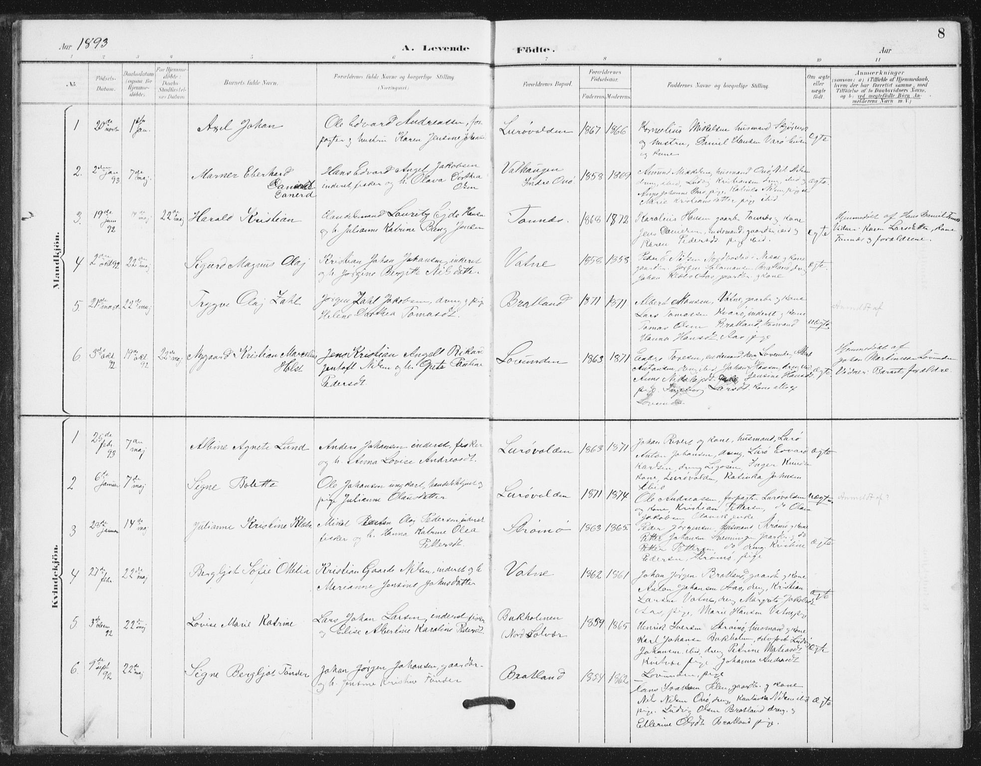Ministerialprotokoller, klokkerbøker og fødselsregistre - Nordland, SAT/A-1459/839/L0573: Parish register (copy) no. 839C03, 1892-1917, p. 8