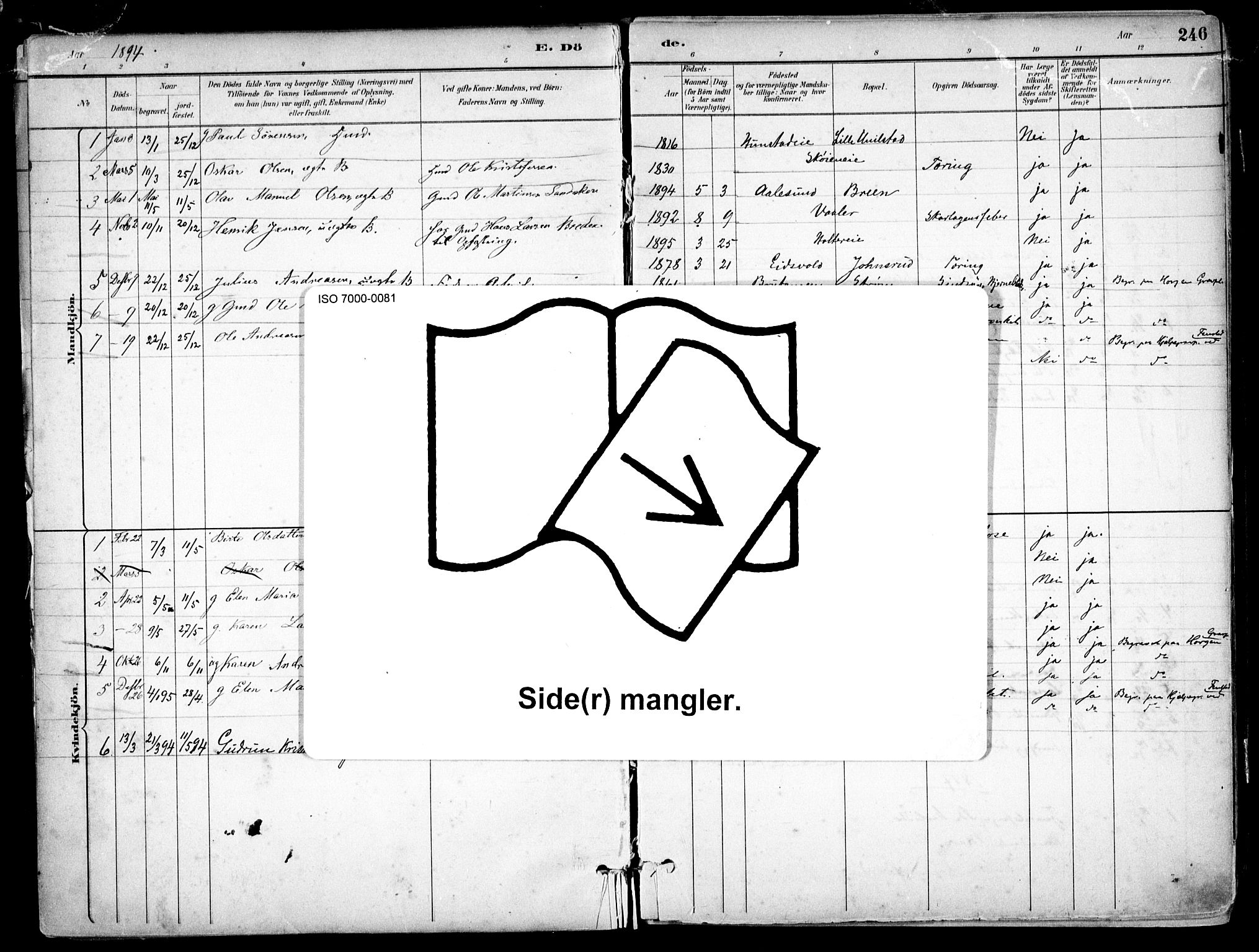 Nes prestekontor Kirkebøker, AV/SAO-A-10410/F/Fb/L0002: Parish register (official) no. II 2, 1883-1918, p. 246