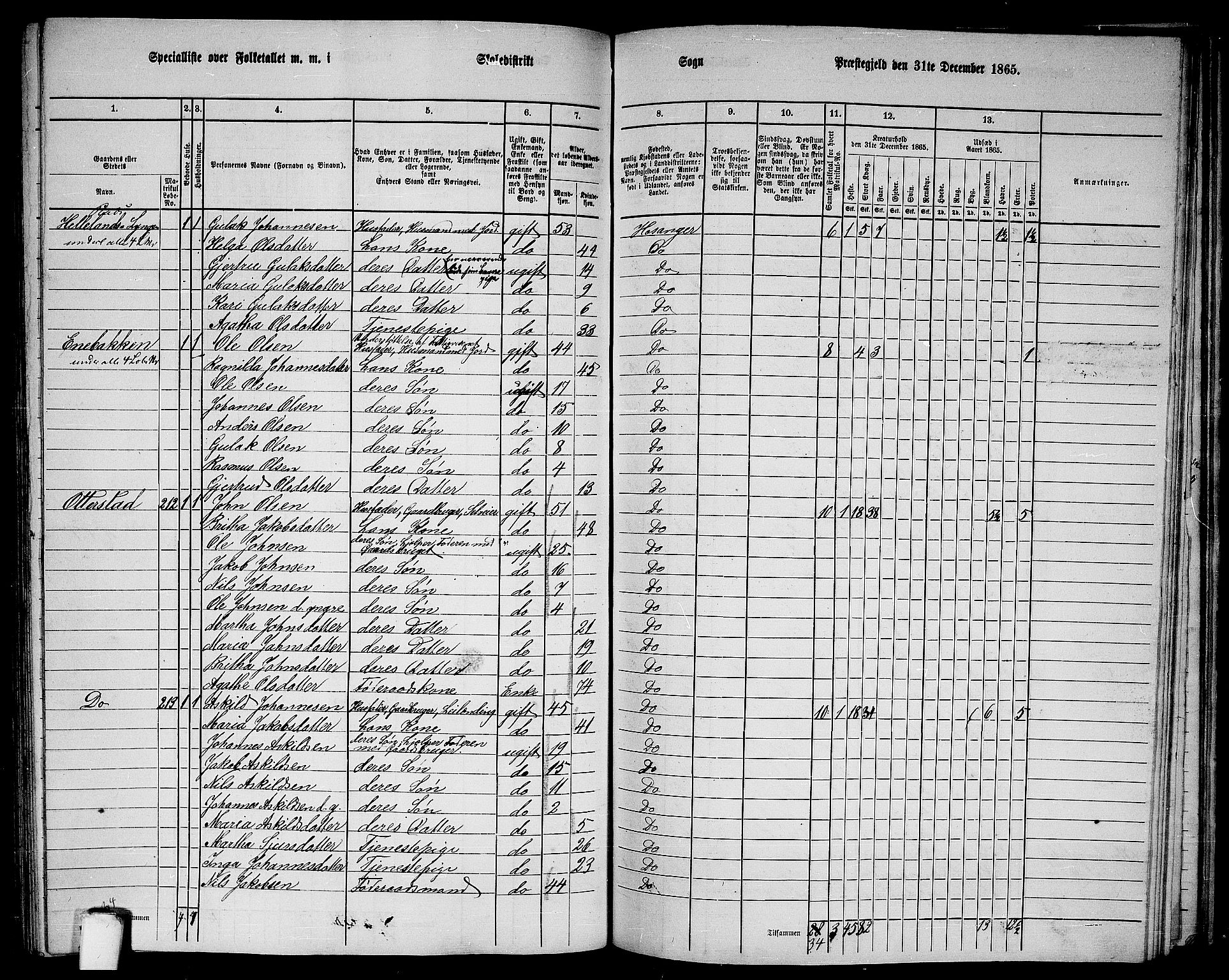 RA, 1865 census for Hosanger, 1865, p. 133