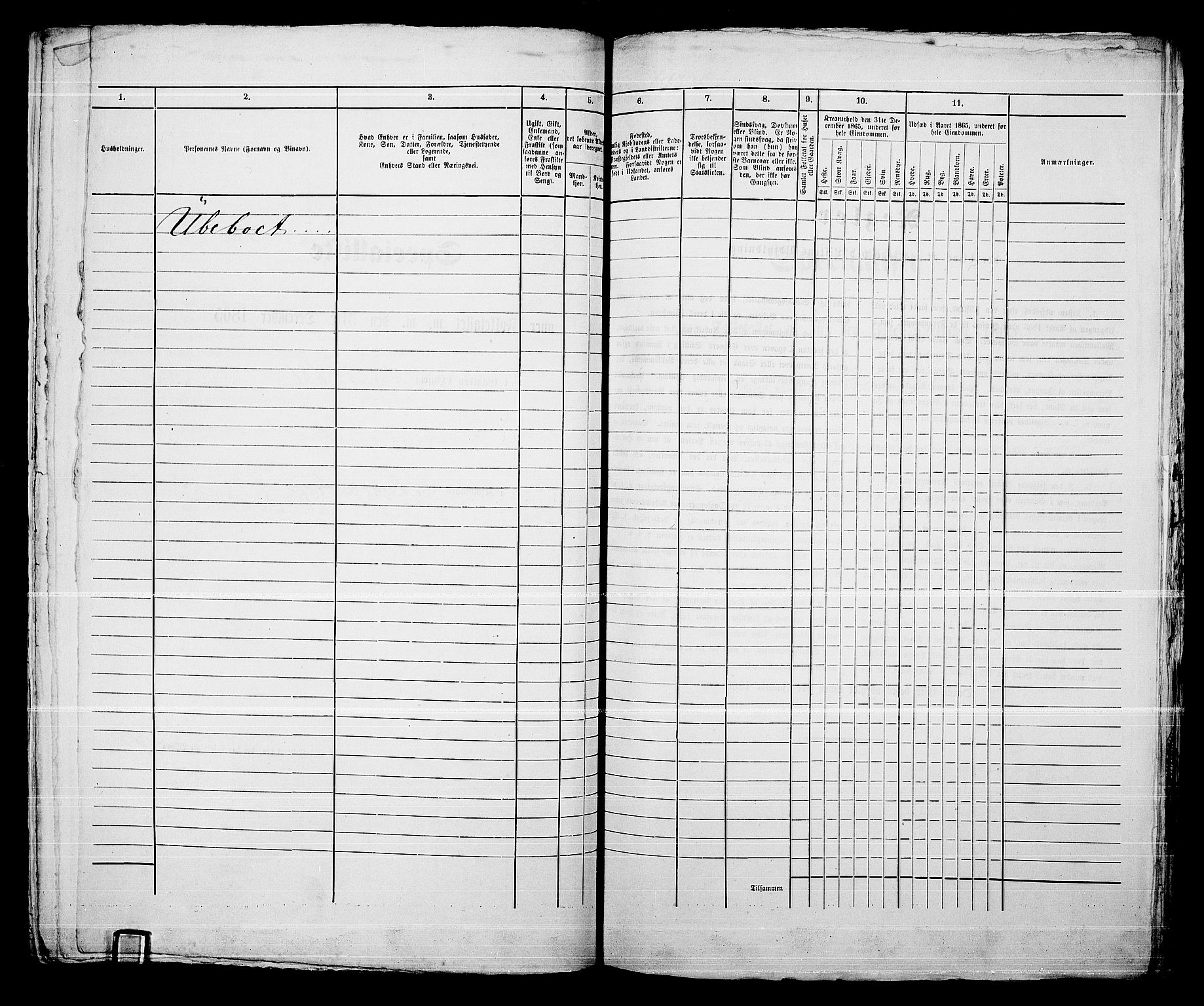 RA, 1865 census for Kongsberg/Kongsberg, 1865, p. 1307