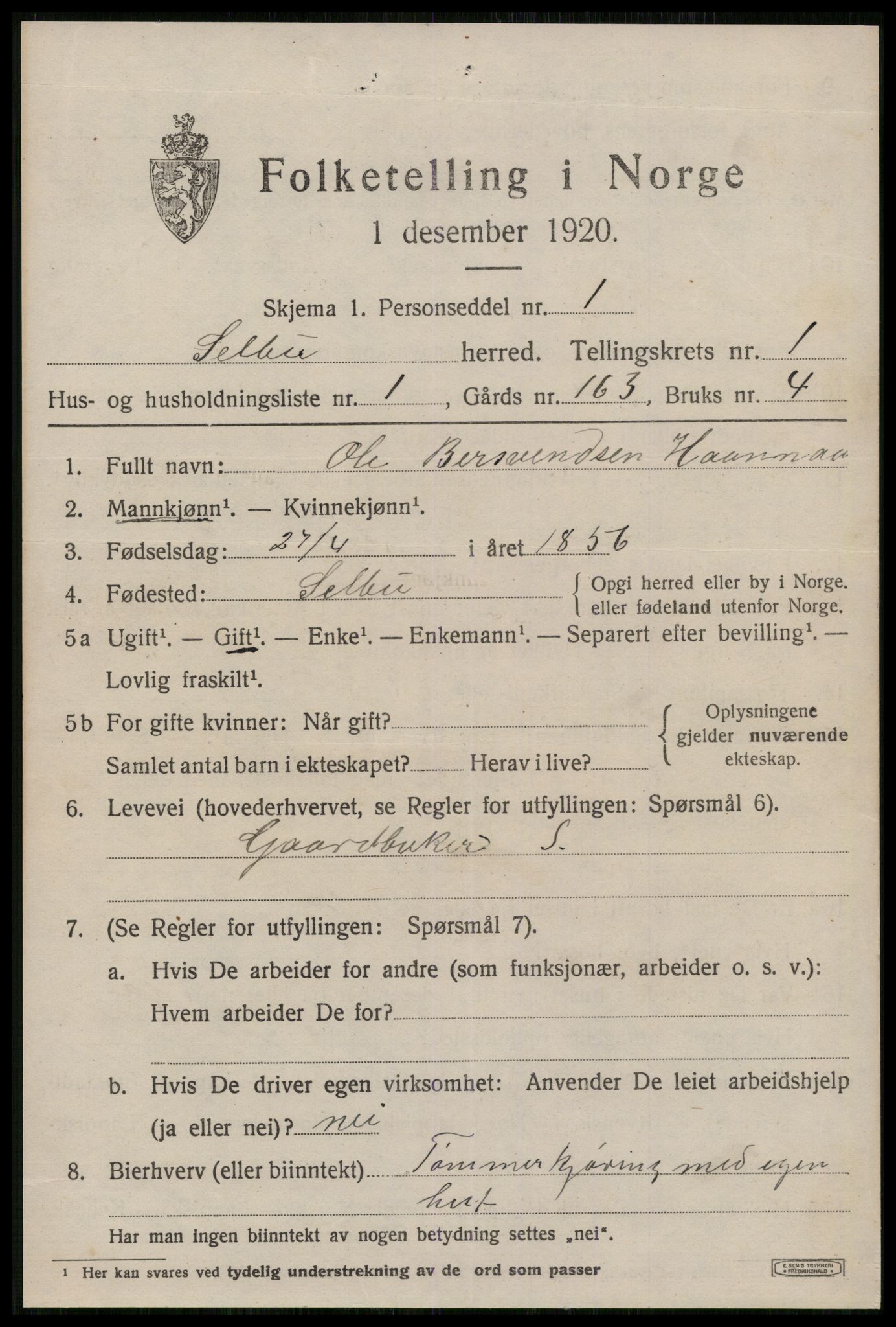 SAT, 1920 census for Selbu, 1920, p. 1674