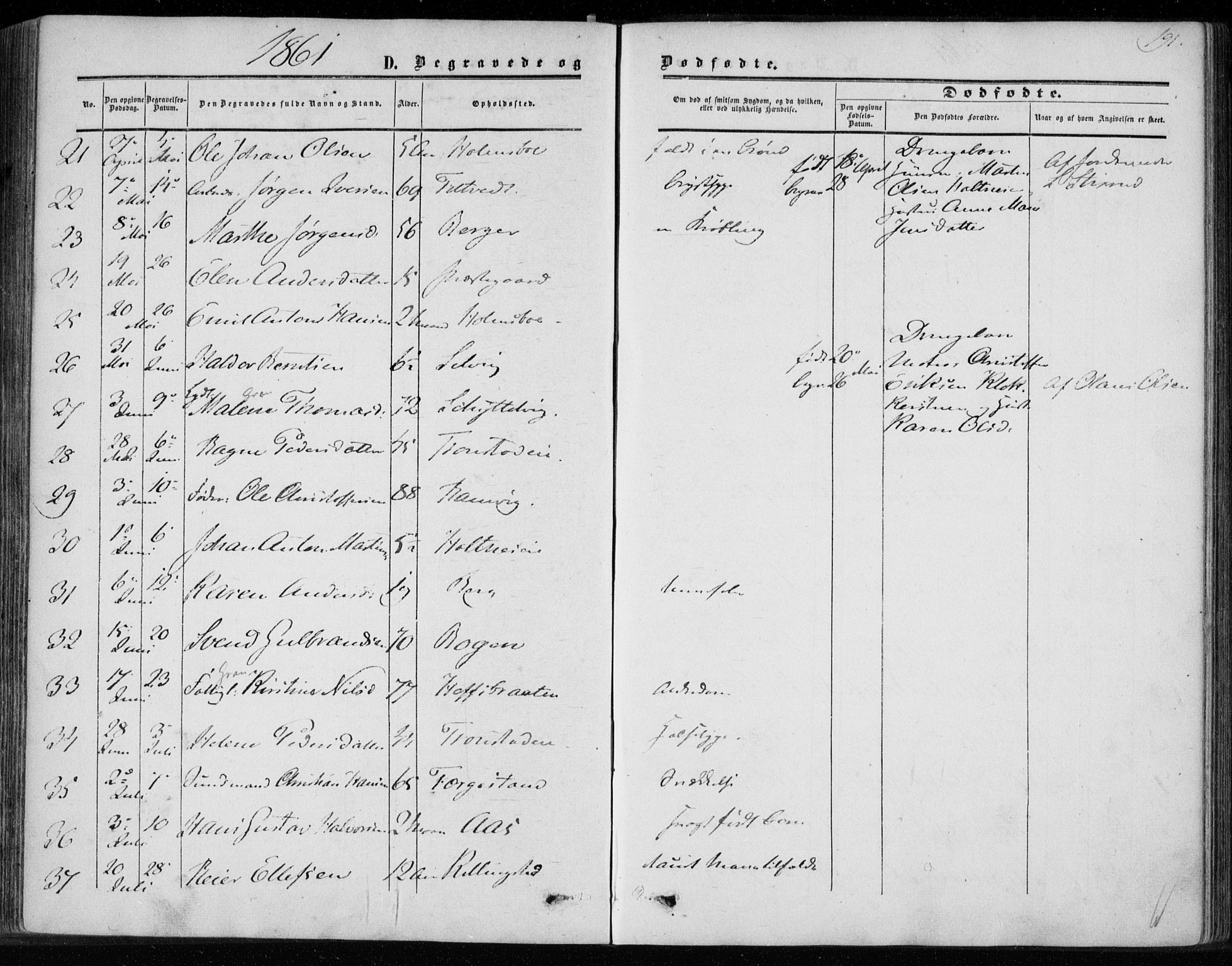 Hurum kirkebøker, SAKO/A-229/F/Fa/L0012: Parish register (official) no. 12, 1861-1875, p. 191
