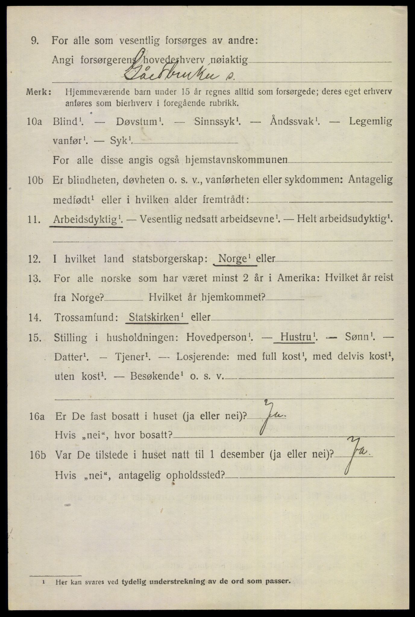 SAKO, 1920 census for Gol, 1920, p. 2733