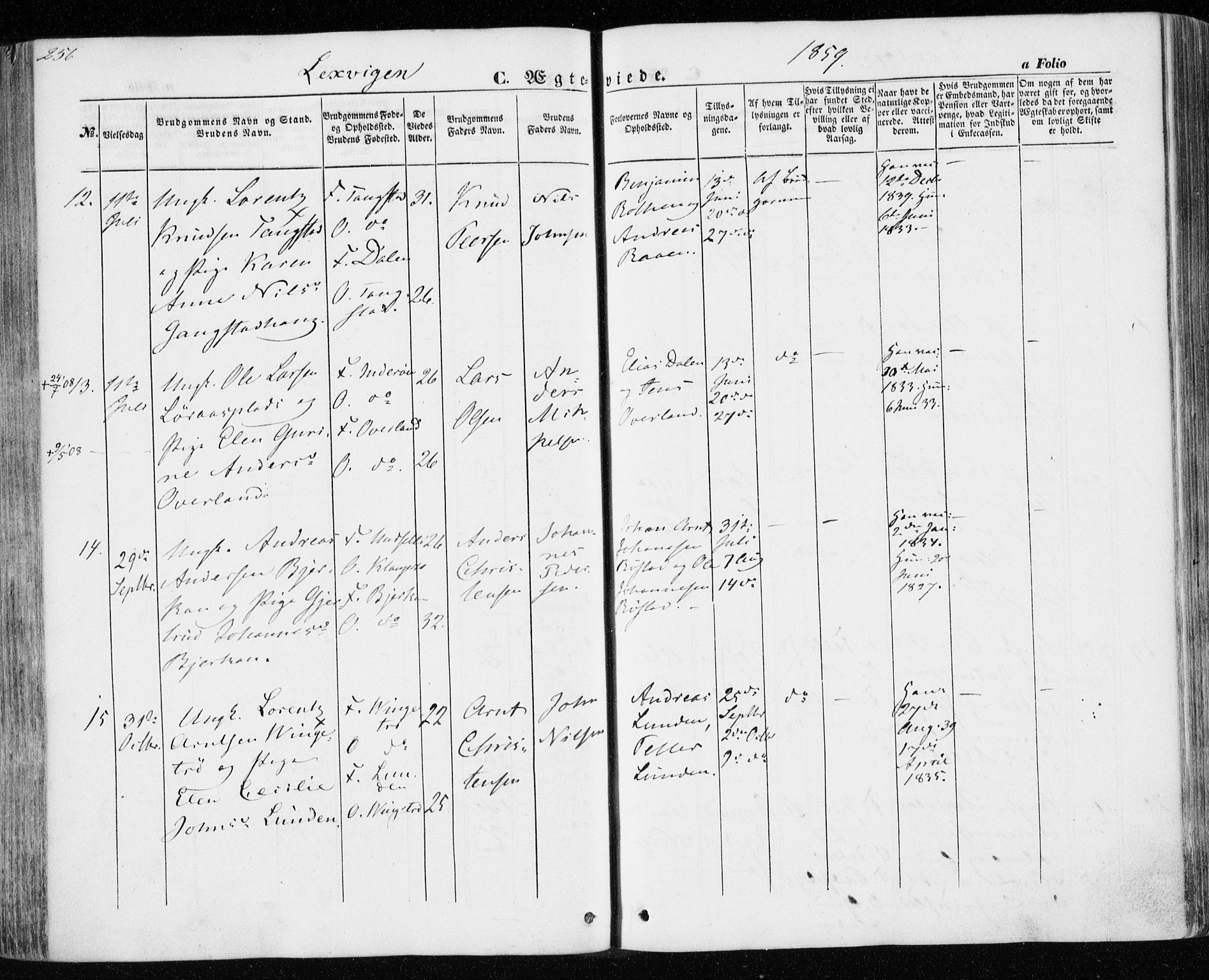 Ministerialprotokoller, klokkerbøker og fødselsregistre - Nord-Trøndelag, SAT/A-1458/701/L0008: Parish register (official) no. 701A08 /1, 1854-1863, p. 256