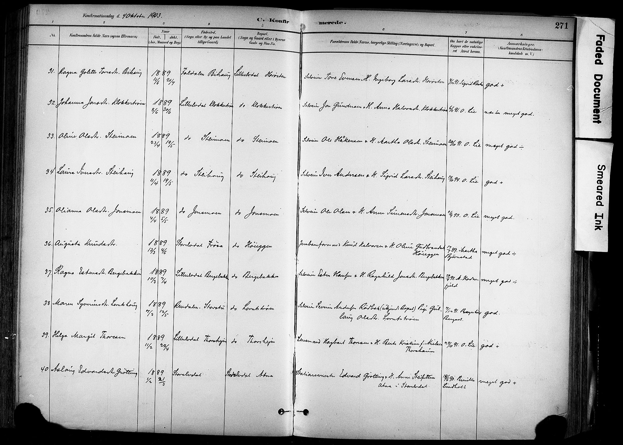 Alvdal prestekontor, AV/SAH-PREST-060/H/Ha/Haa/L0002: Parish register (official) no. 2, 1883-1906, p. 271