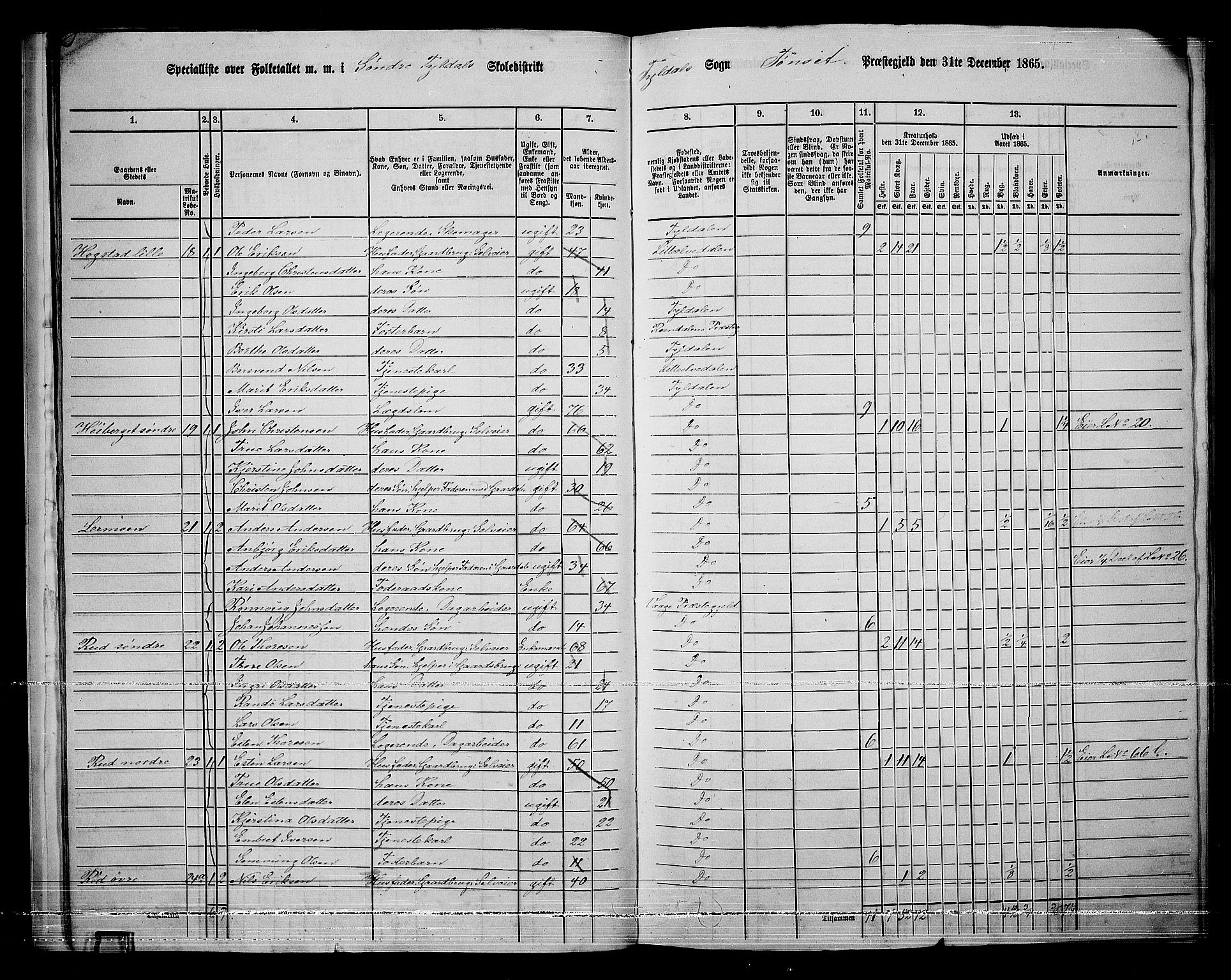 RA, 1865 census for Tynset, 1865, p. 20