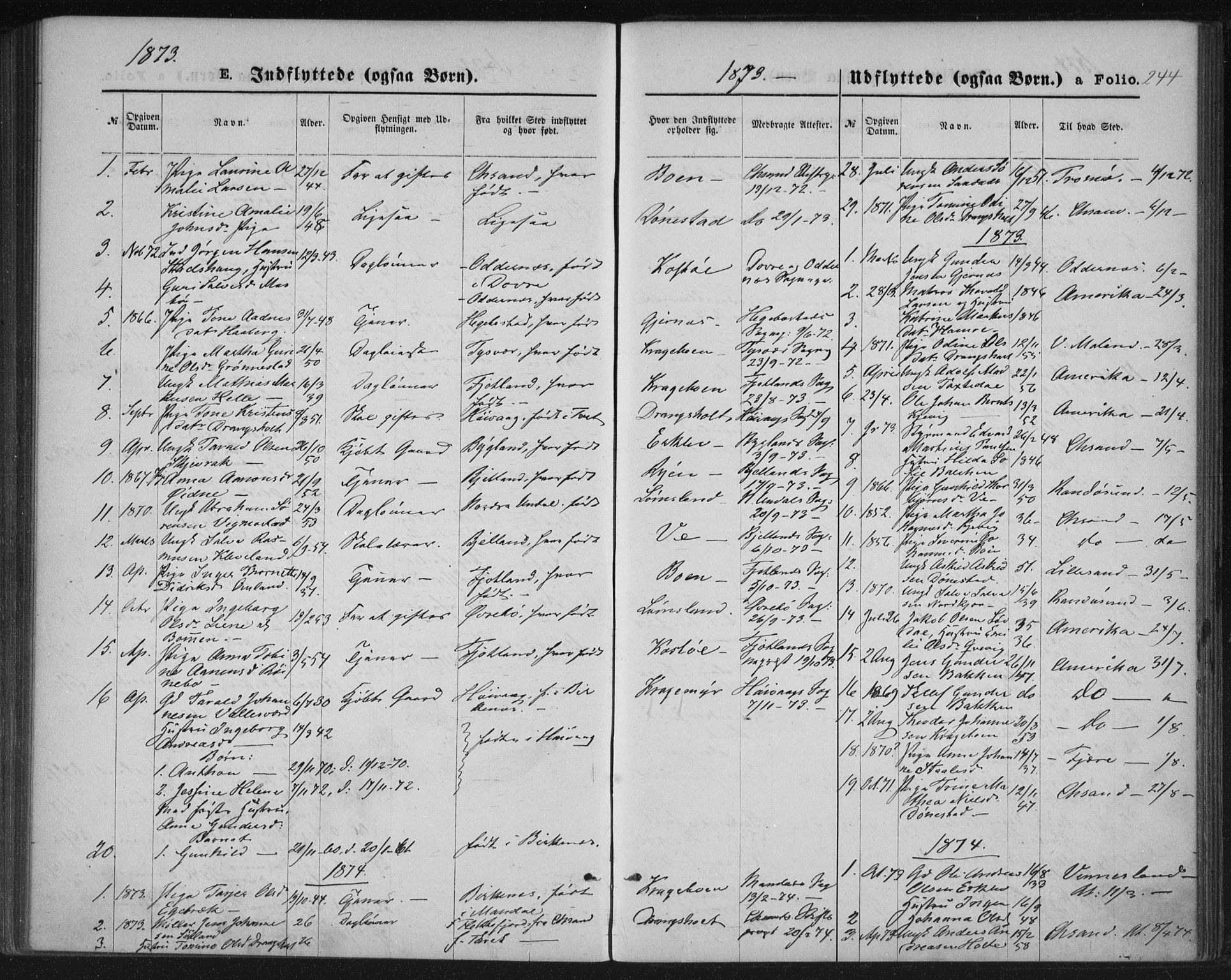 Tveit sokneprestkontor, AV/SAK-1111-0043/F/Fa/L0006: Parish register (official) no. A 6, 1872-1886, p. 244