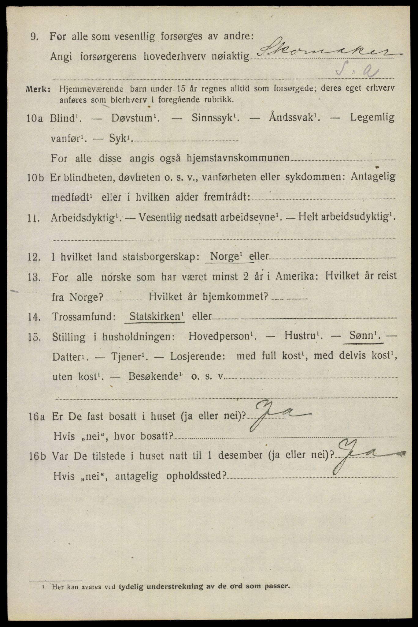 SAO, 1920 census for Nes, 1920, p. 6769