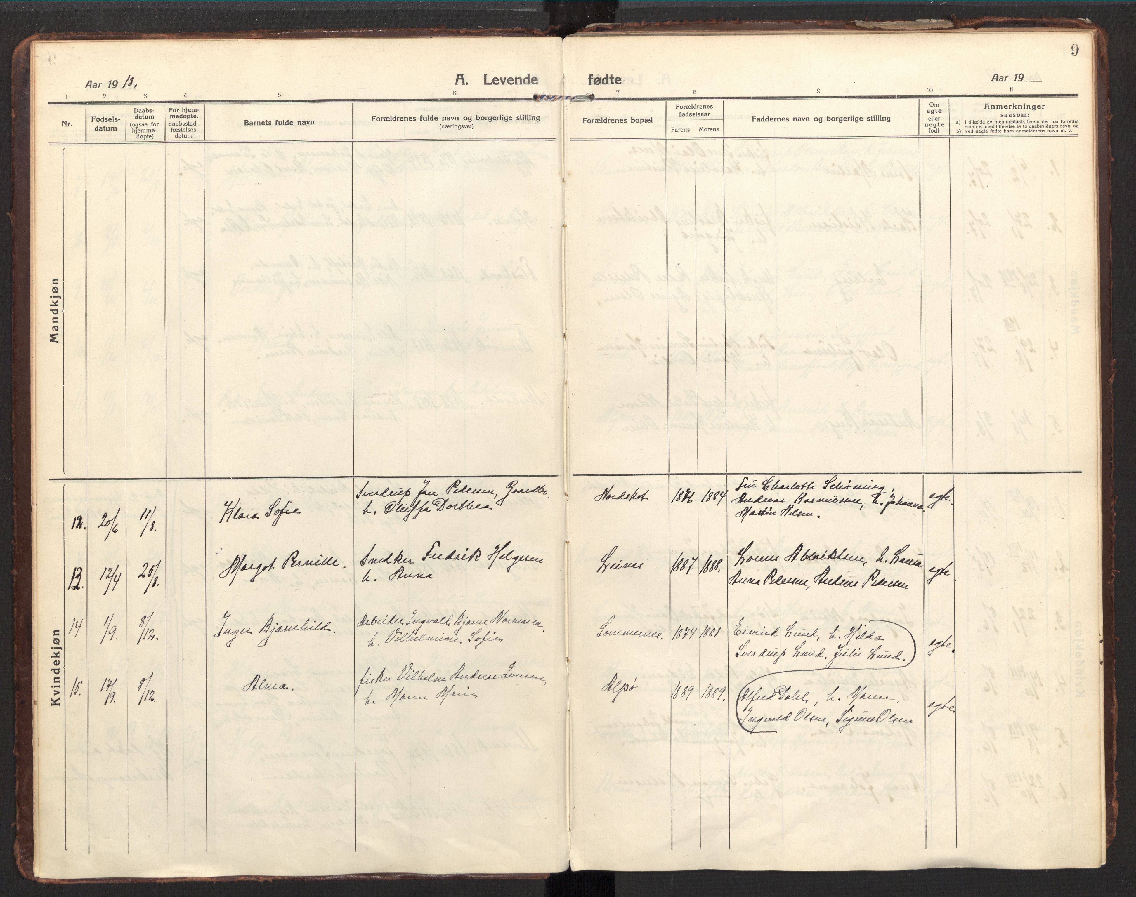 Ministerialprotokoller, klokkerbøker og fødselsregistre - Nordland, AV/SAT-A-1459/857/L0824: Parish register (official) no. 857A04, 1917-1943, p. 9